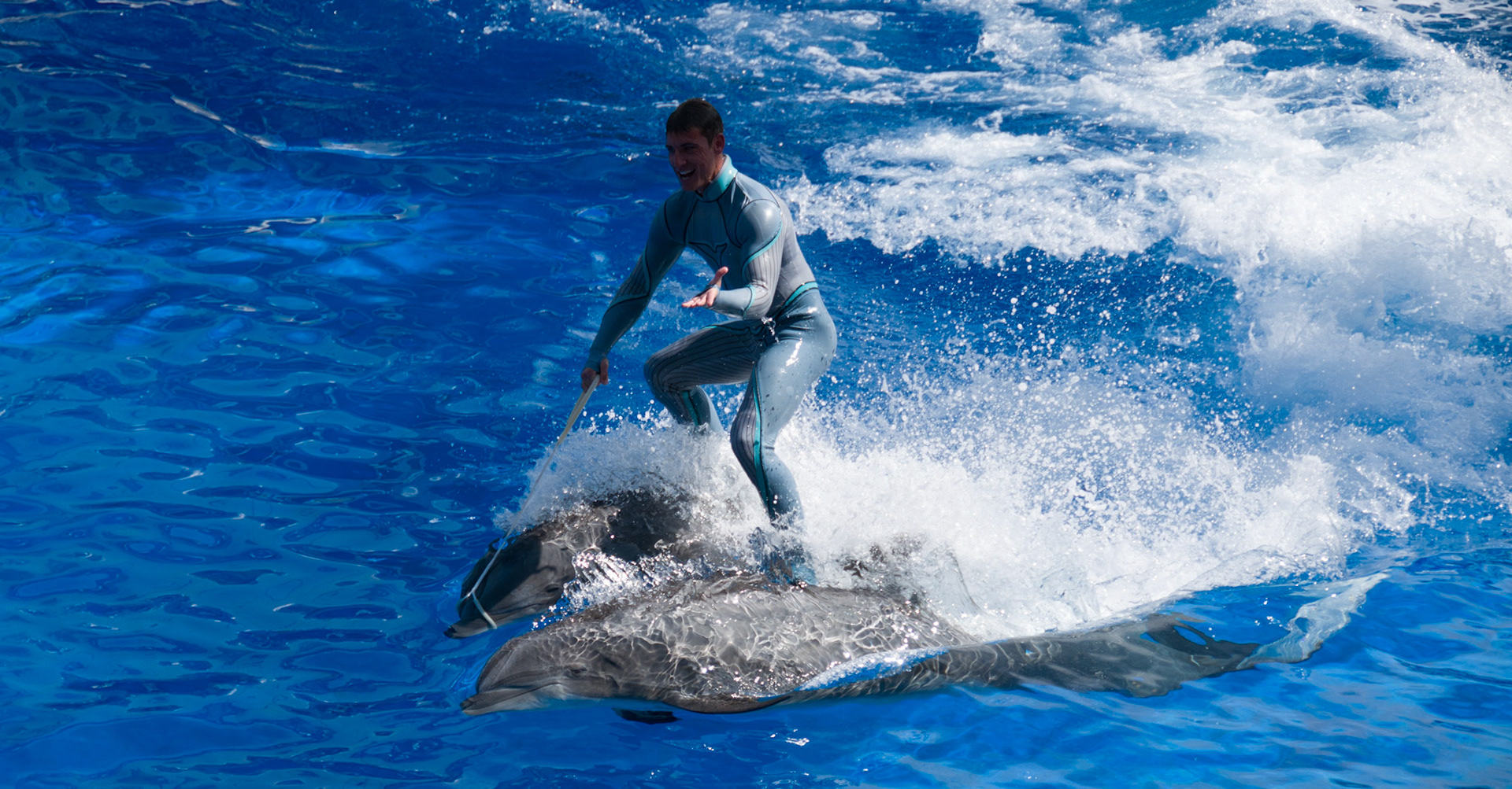 The Blue Horizons show at Seaworld Orlando