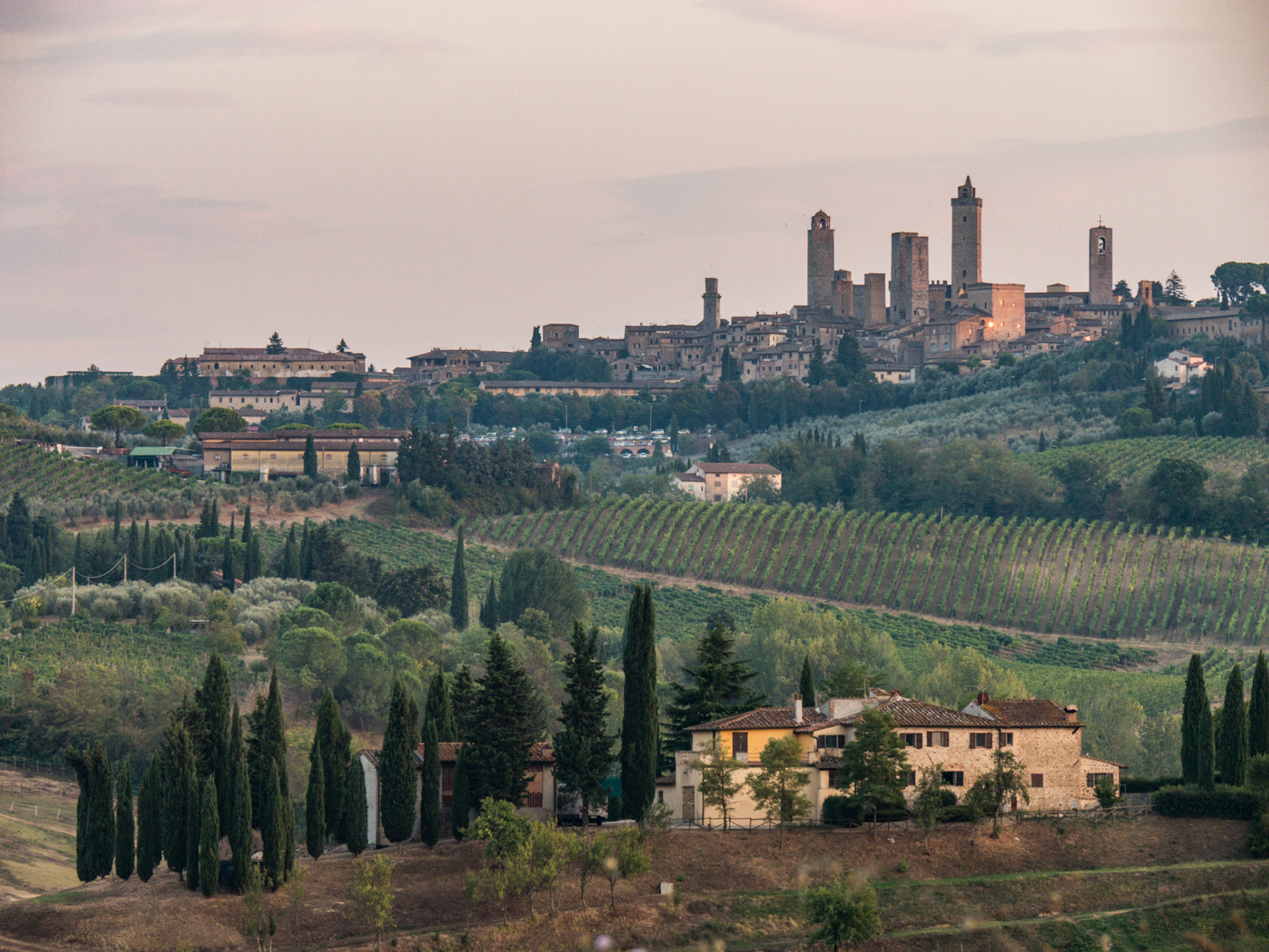 San Gimignano Countryside