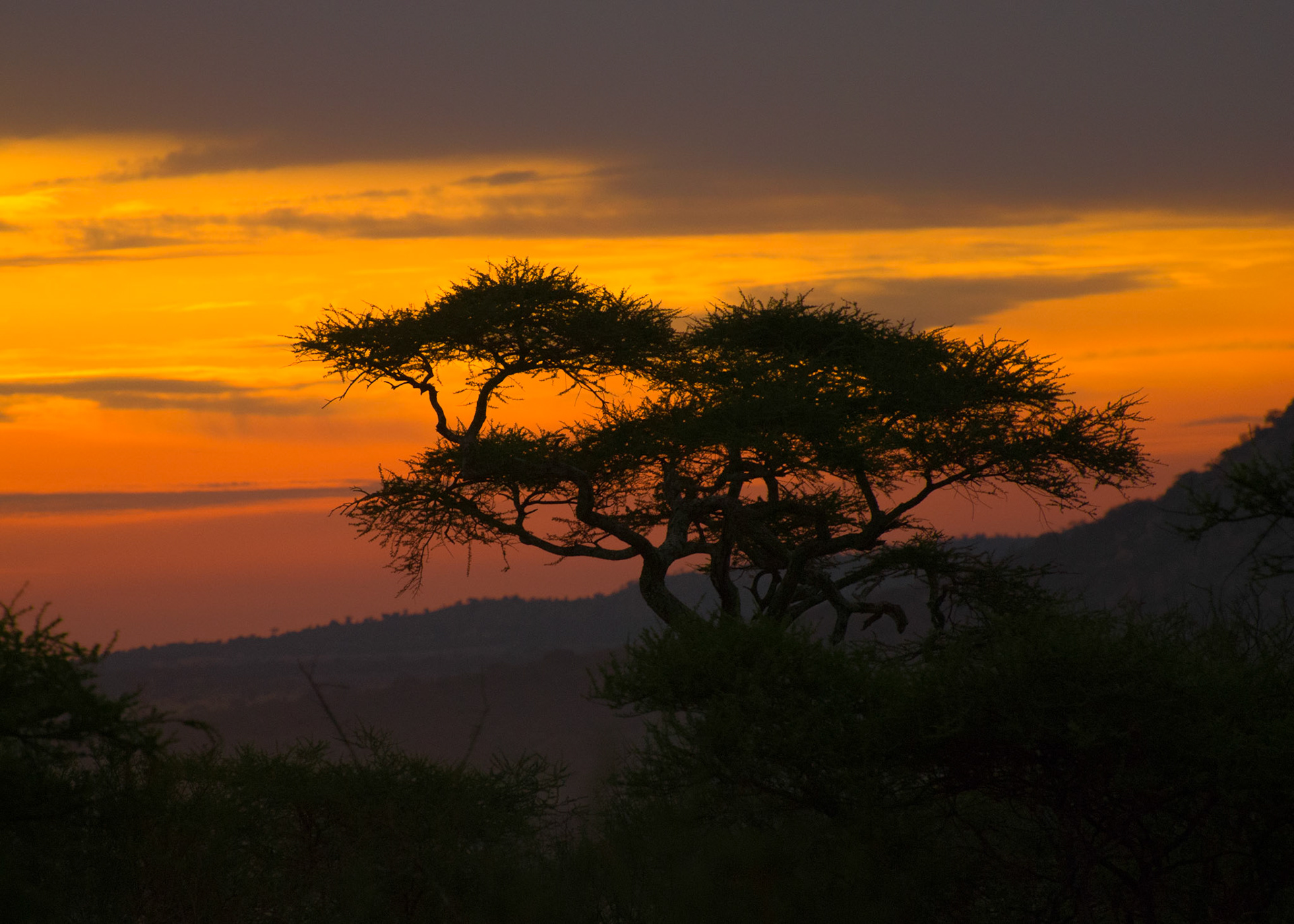 Sun setting over the Serengeti