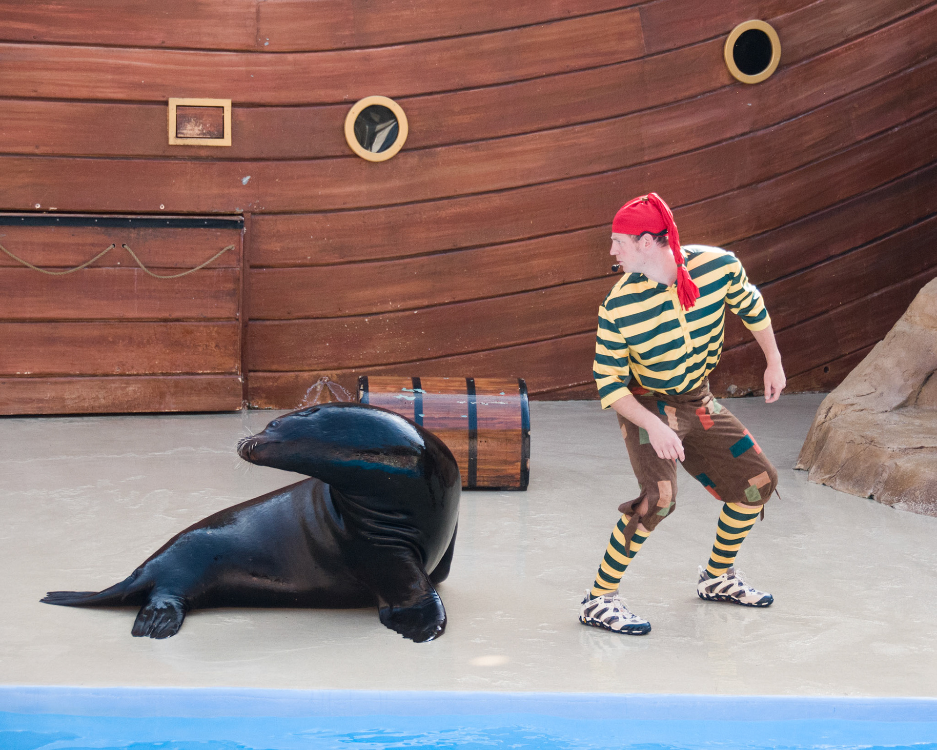The Clyde and Seamore Show at Seaworld Orlando