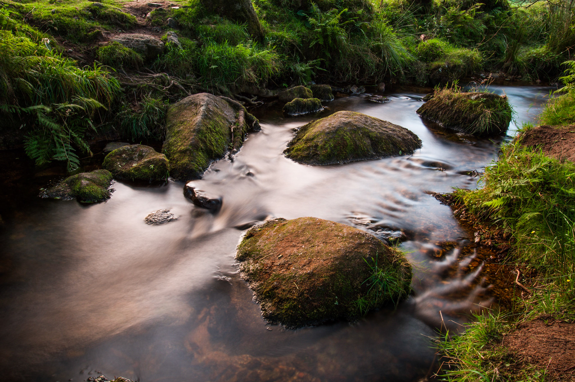 Long exposure of a brook in our campsite in Dartmoor