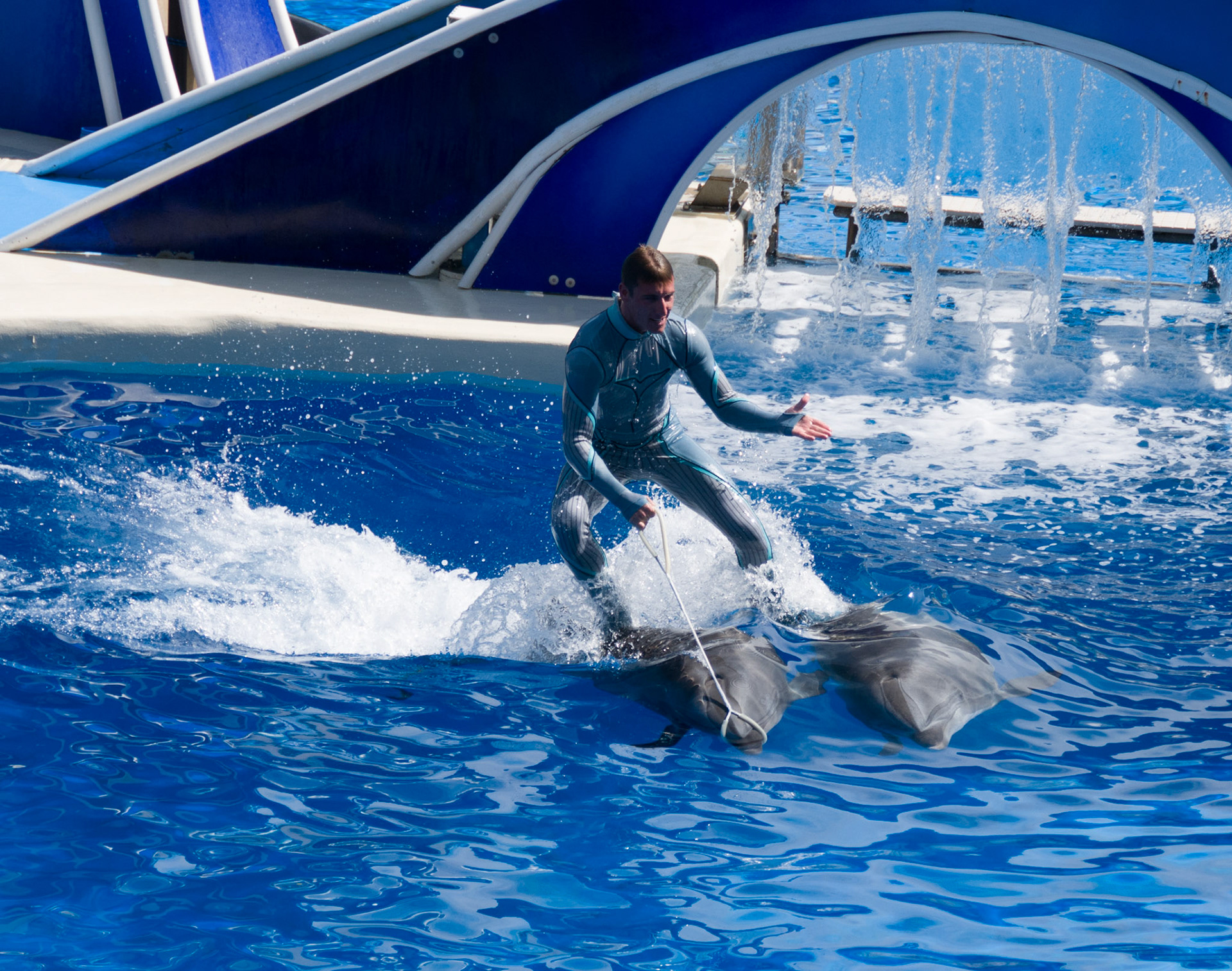 The Blue Horizons show at Seaworld Orlando