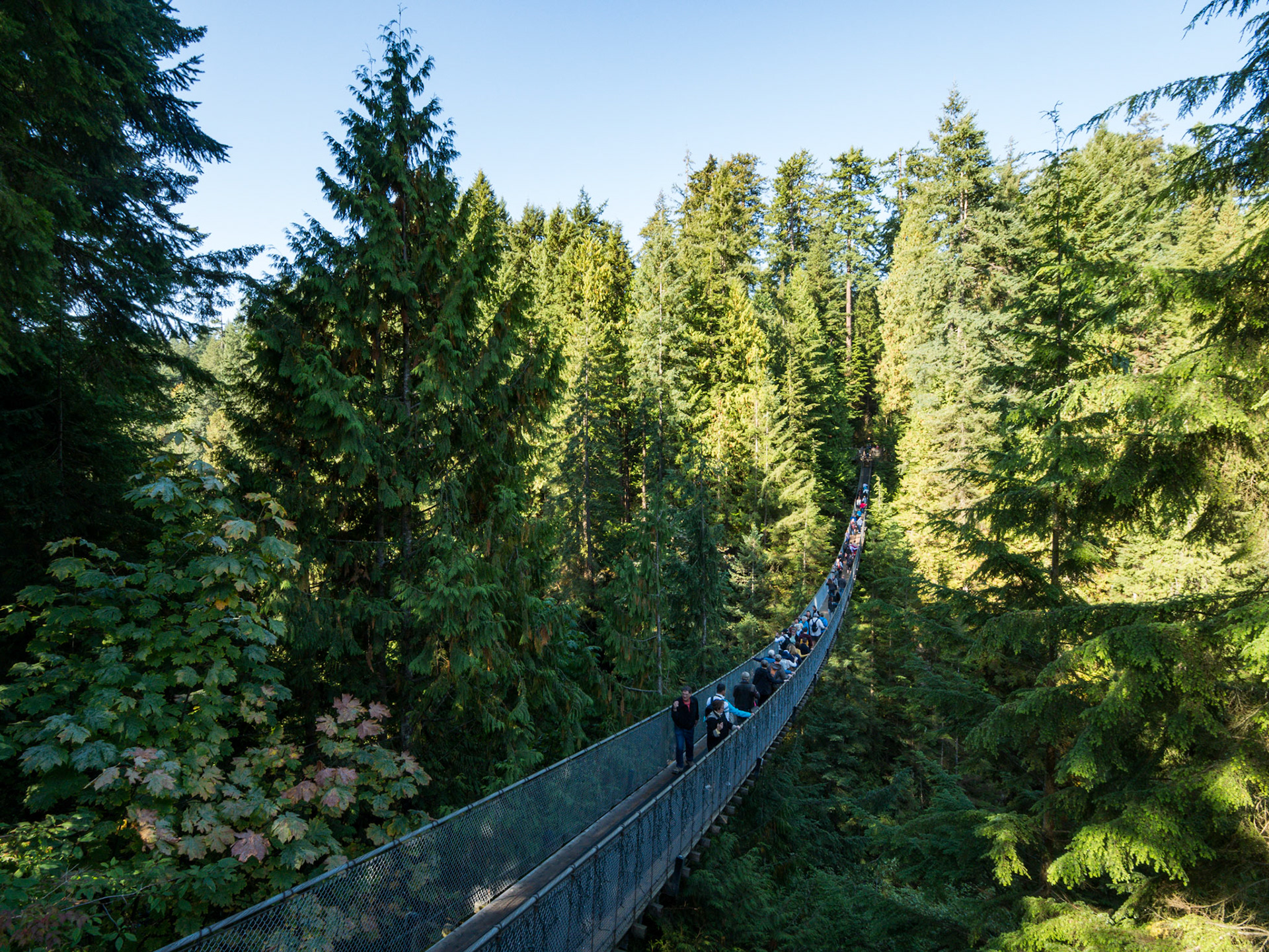Capilano Suspension Bridge