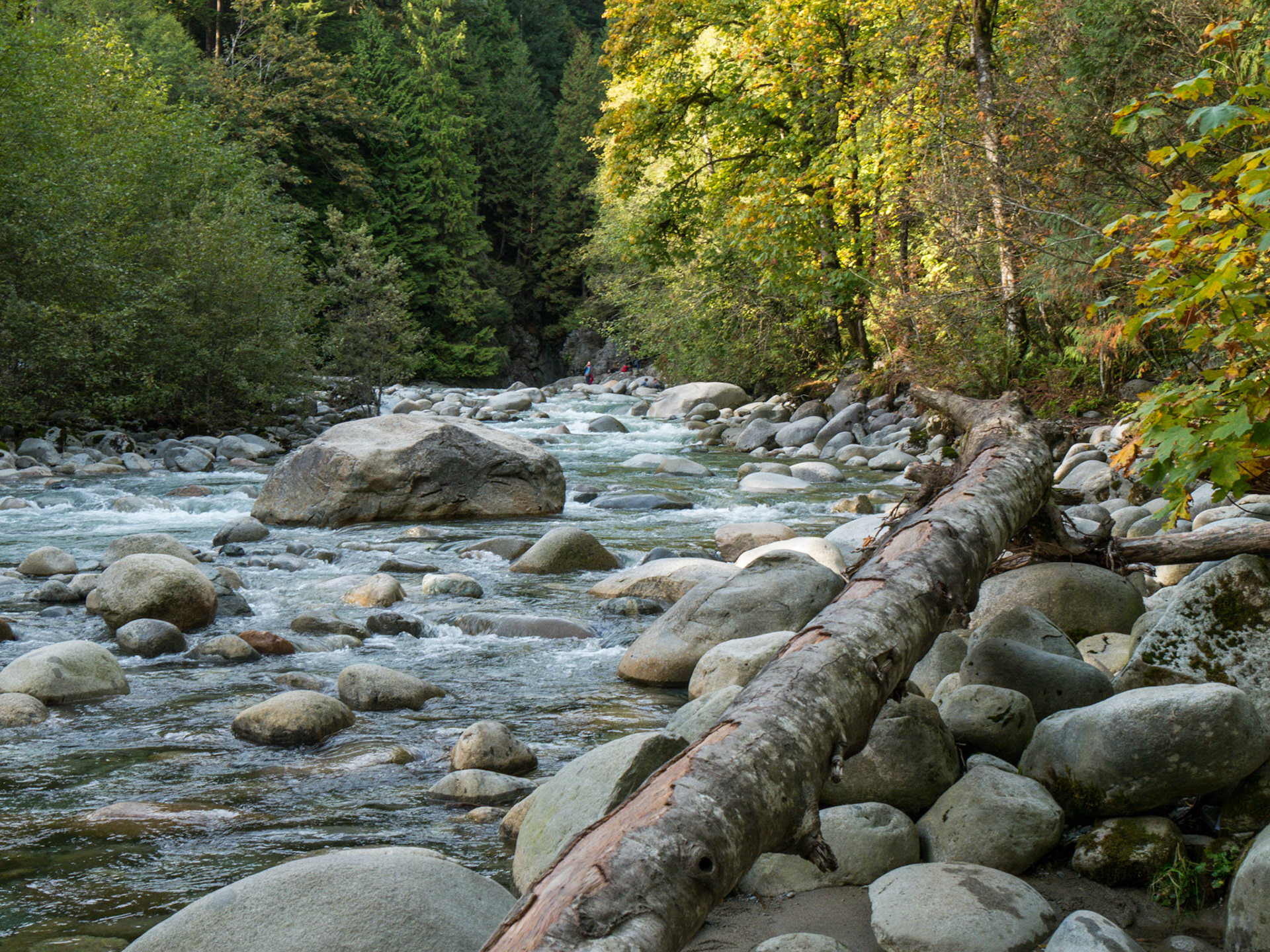 Lynn Canyon Park