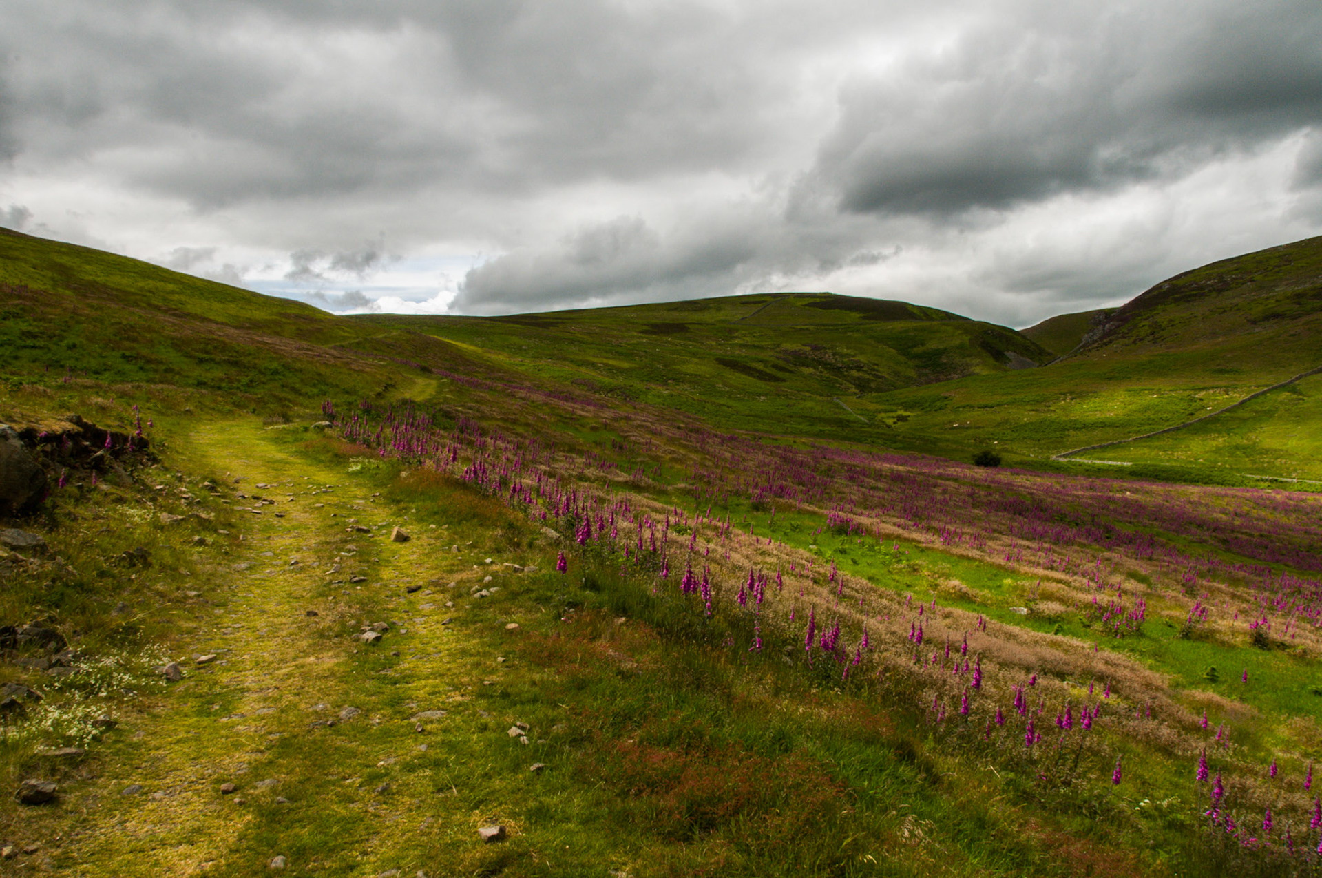 A view at Northumberland National Park