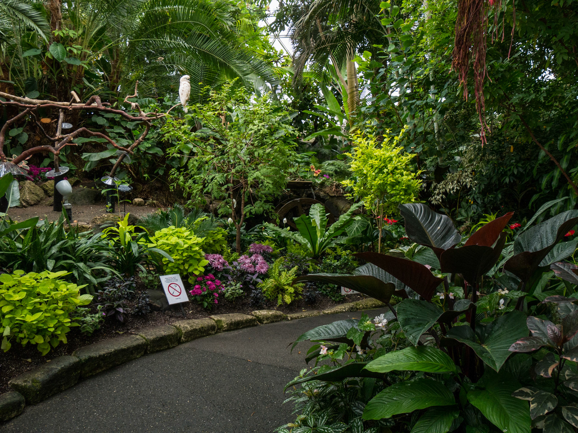 Bloedel Conservatory