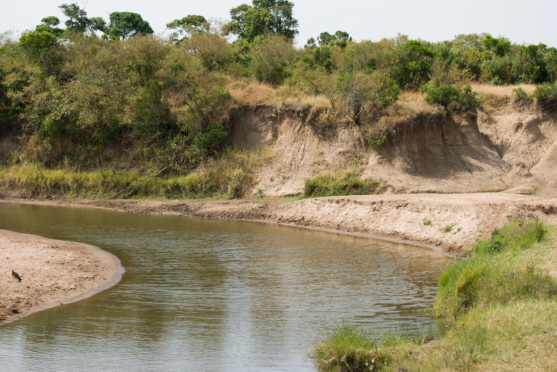 A view in the Masai Mara