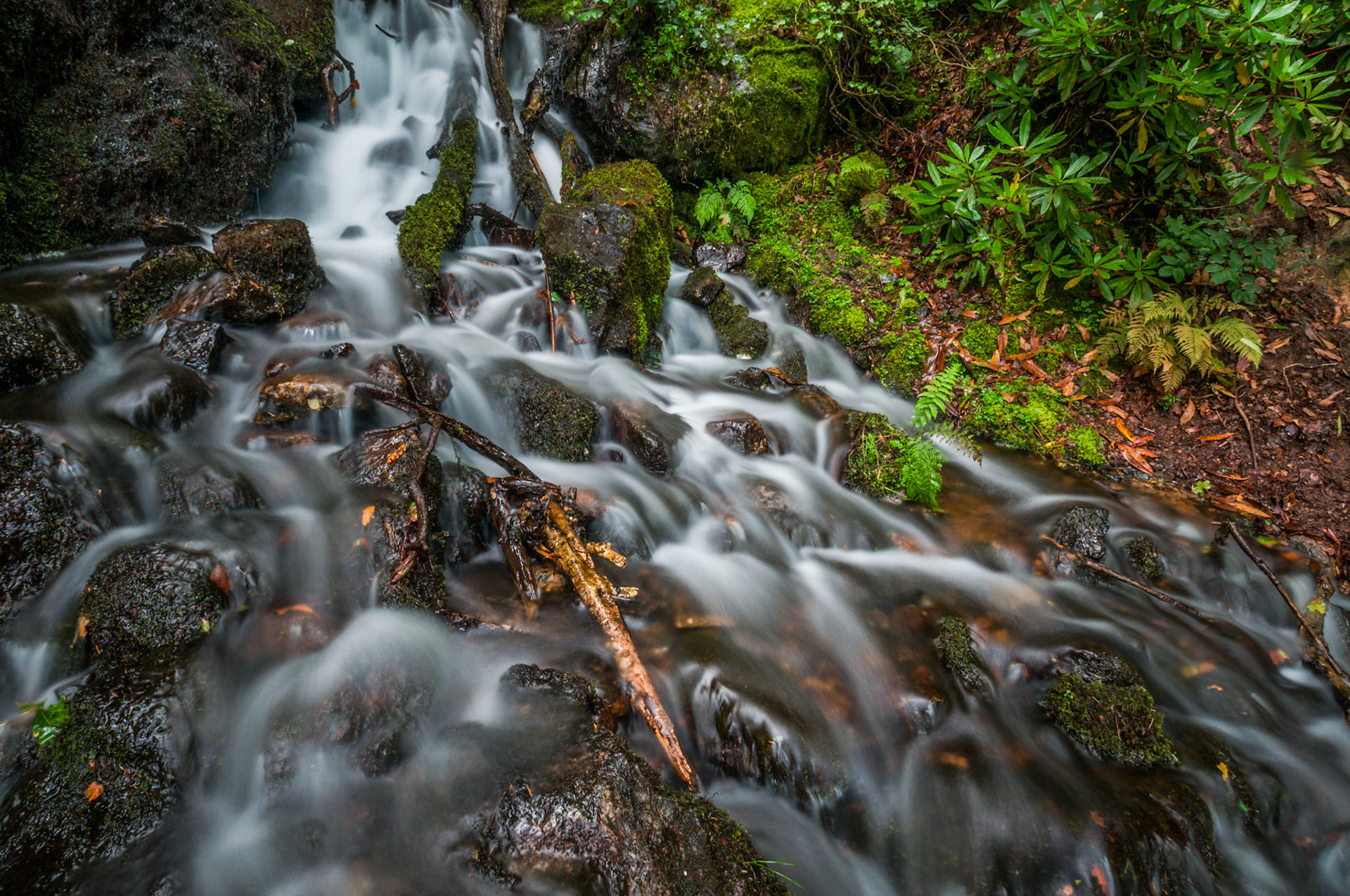 Long exposure of a waterfall in Dartmoor