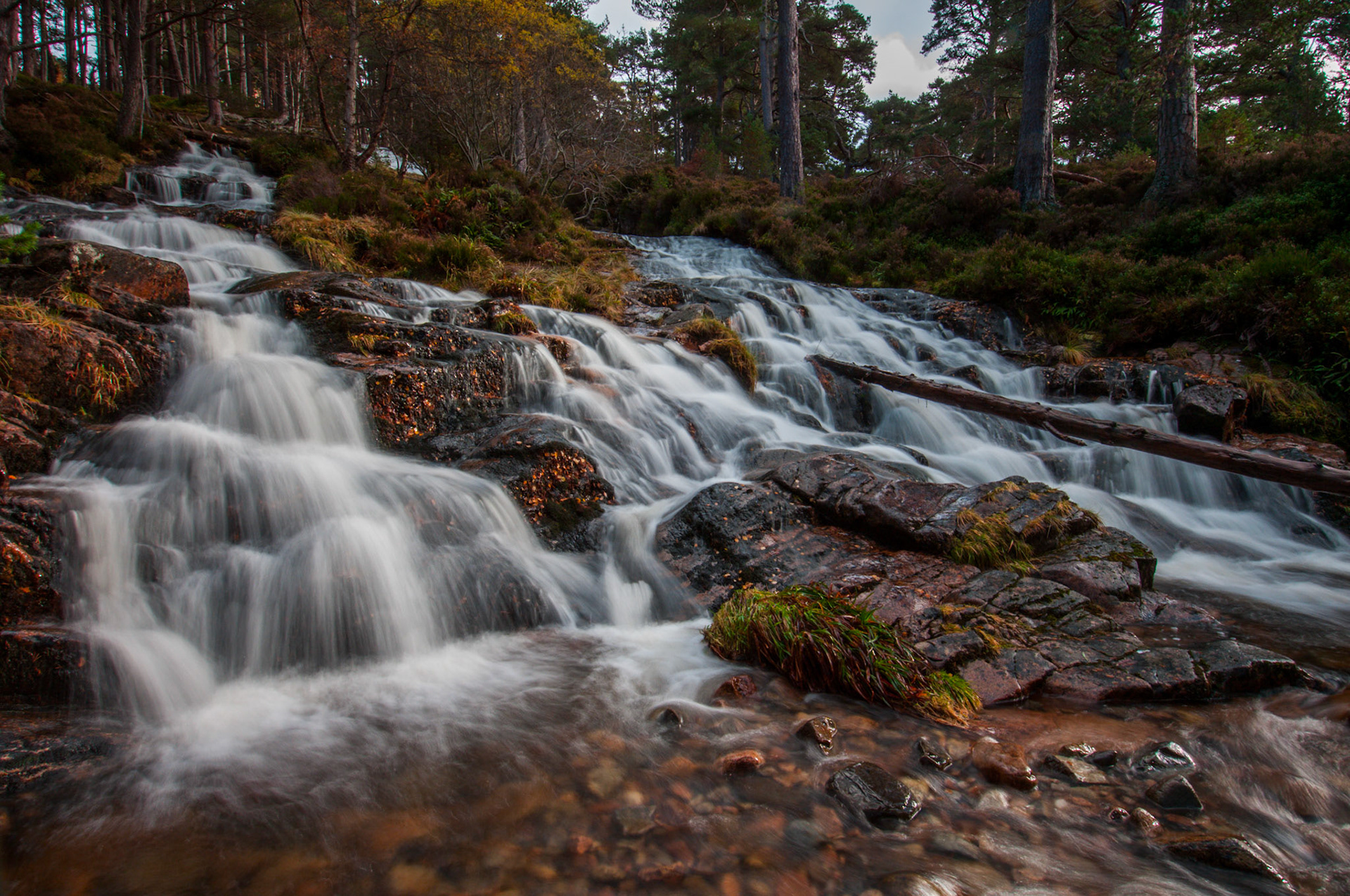 Waterfall hidden away in Glen Feshie in the Cairngorms