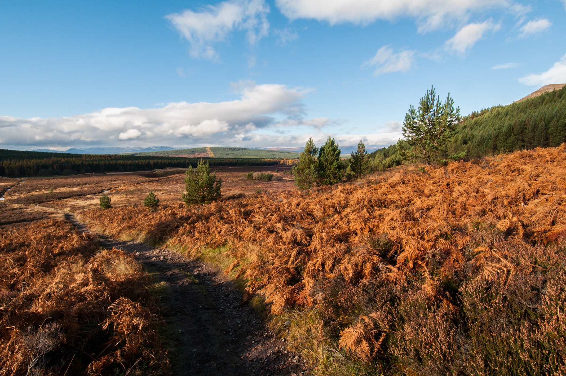 Glen Feshie in the Cairngorms