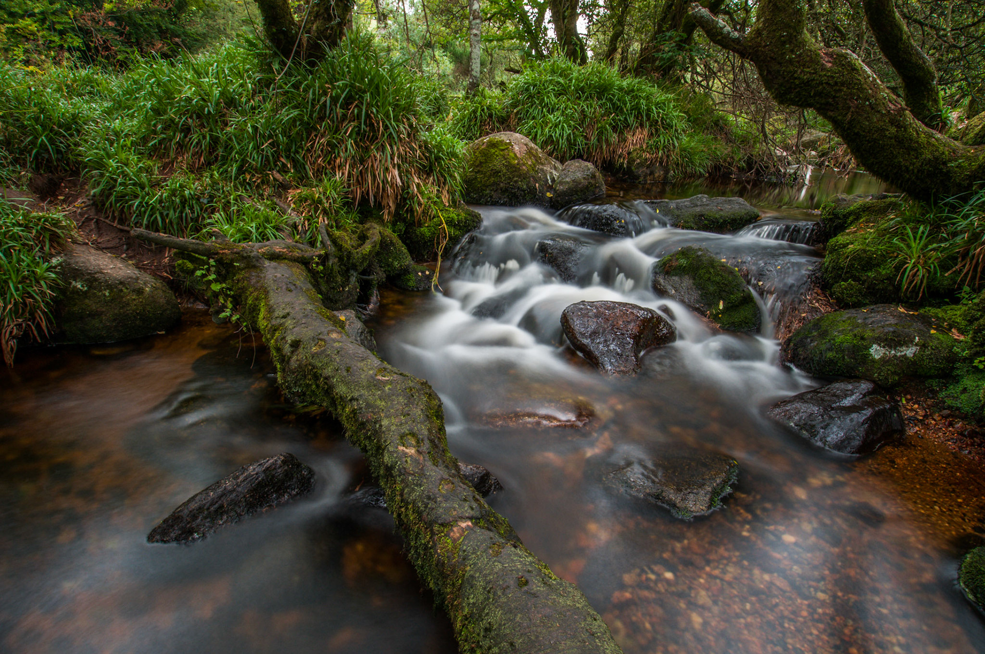 Long Exposure of a stream in Dartmoor