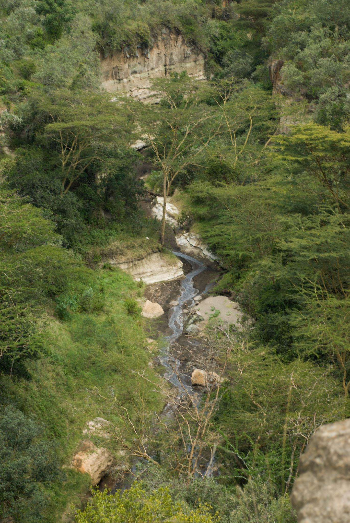 Hell's Gate National Park