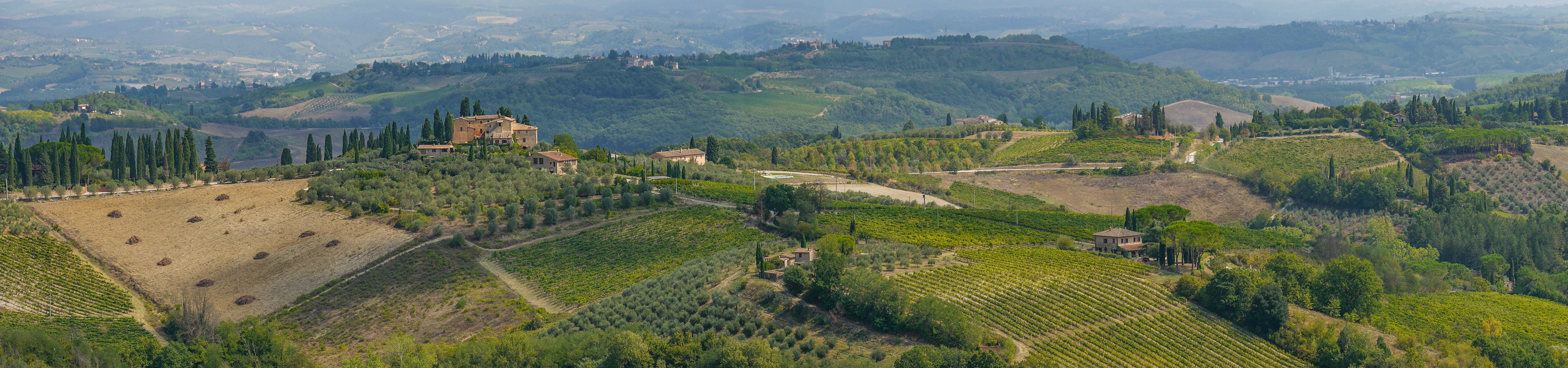 San Gimignano Countryside