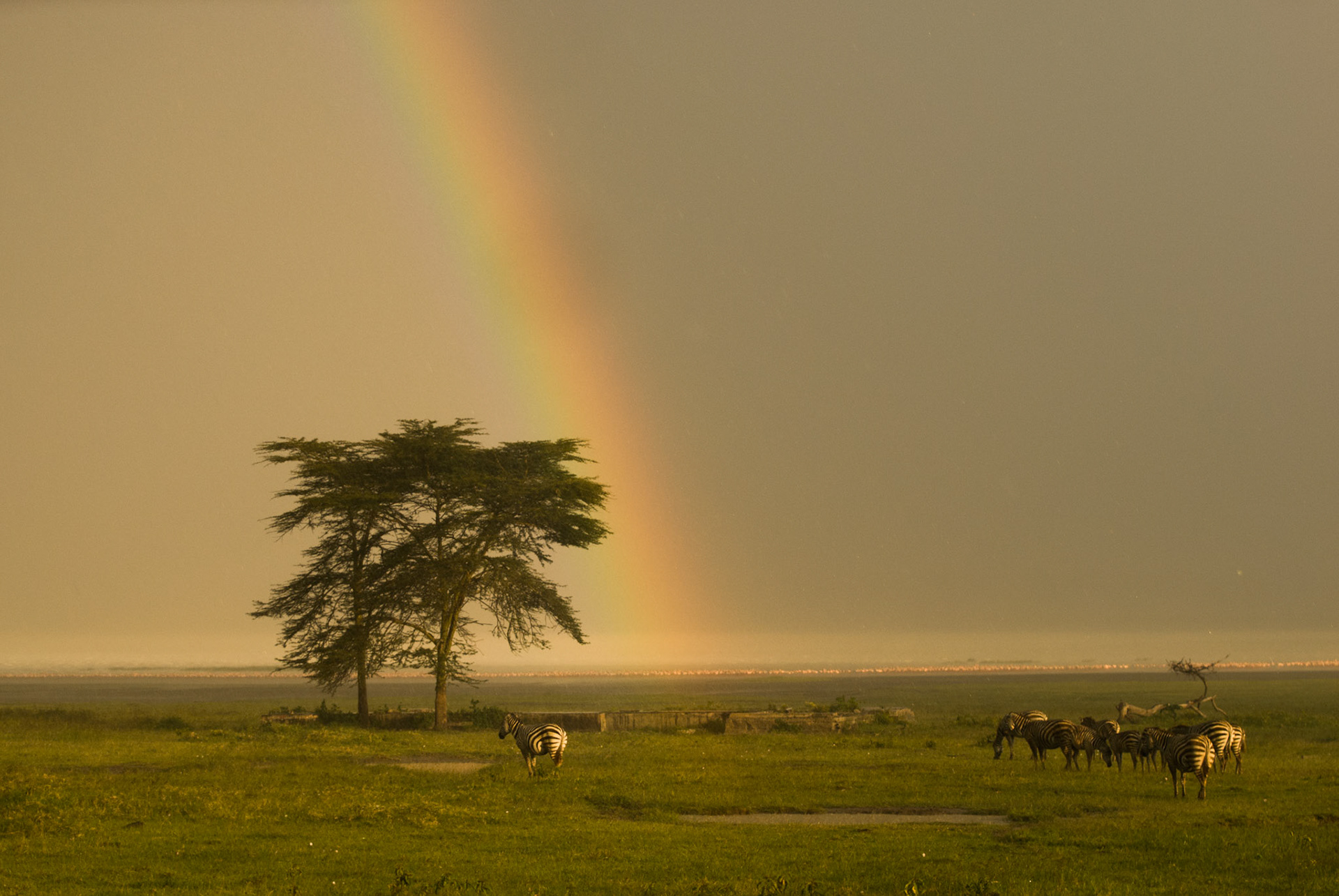 Rainbow over Lake Nakuru