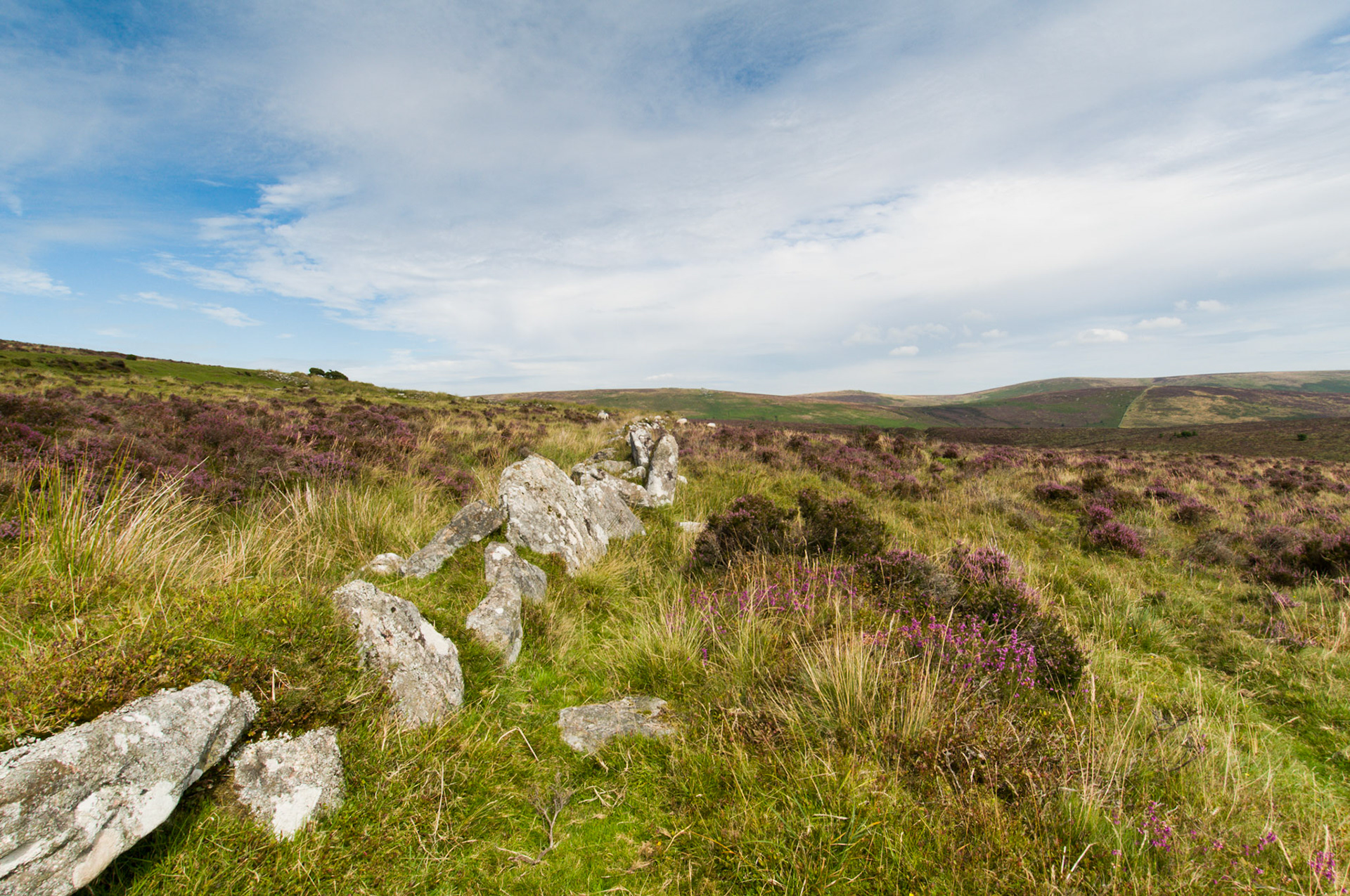 A view across Dartmoor