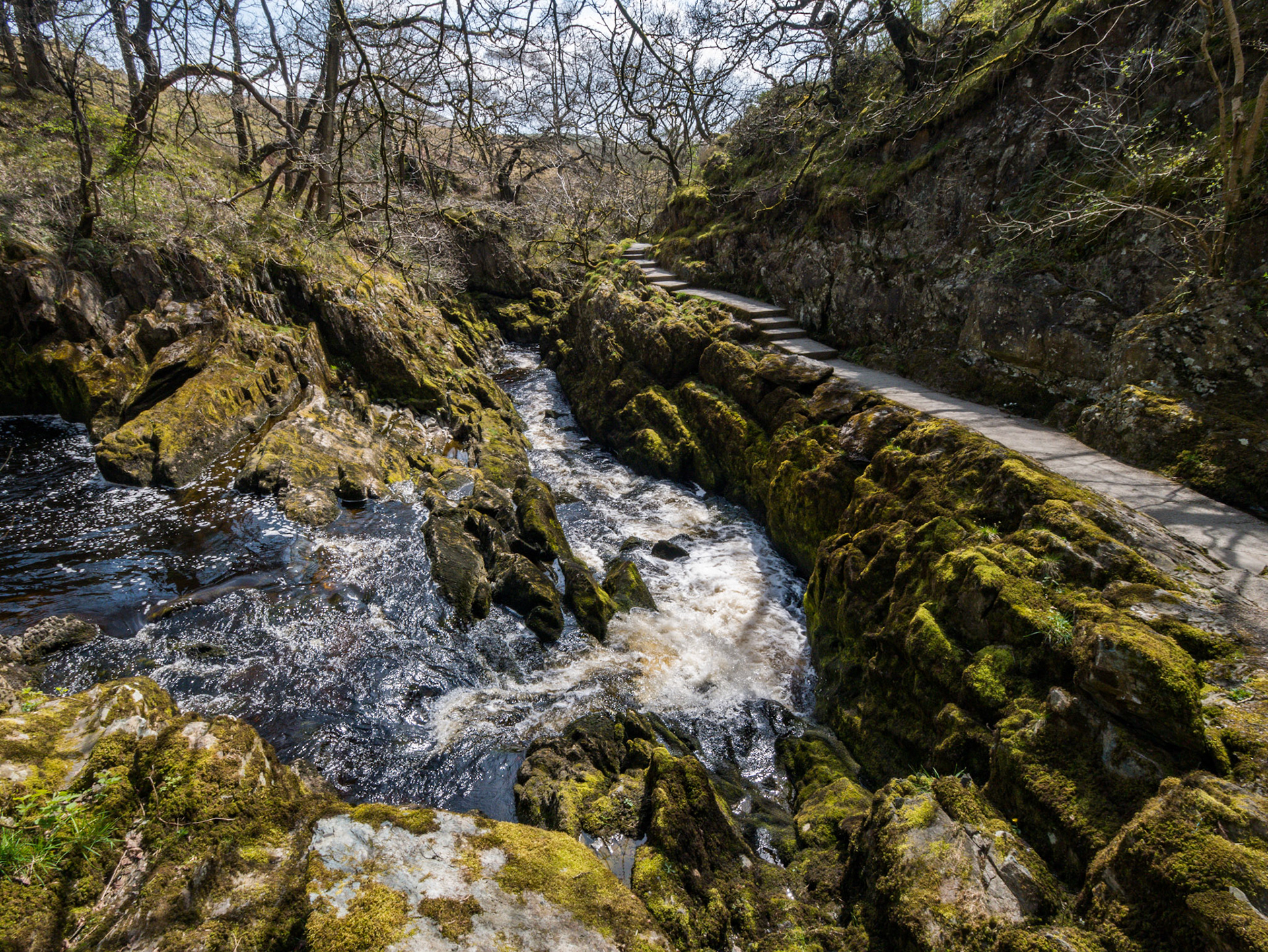 Ingleton Falls Walk