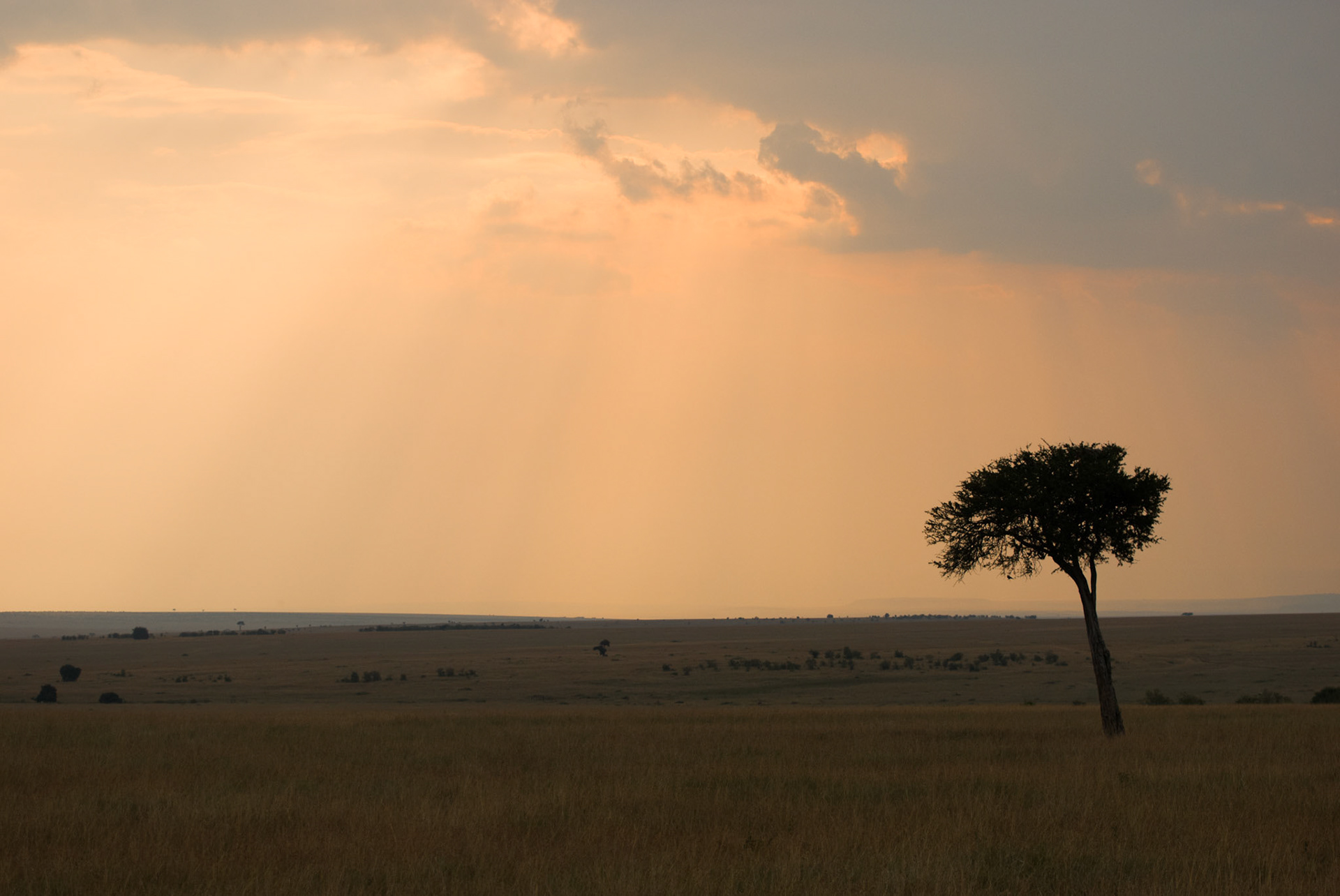 Sun setting over the Masai Mara