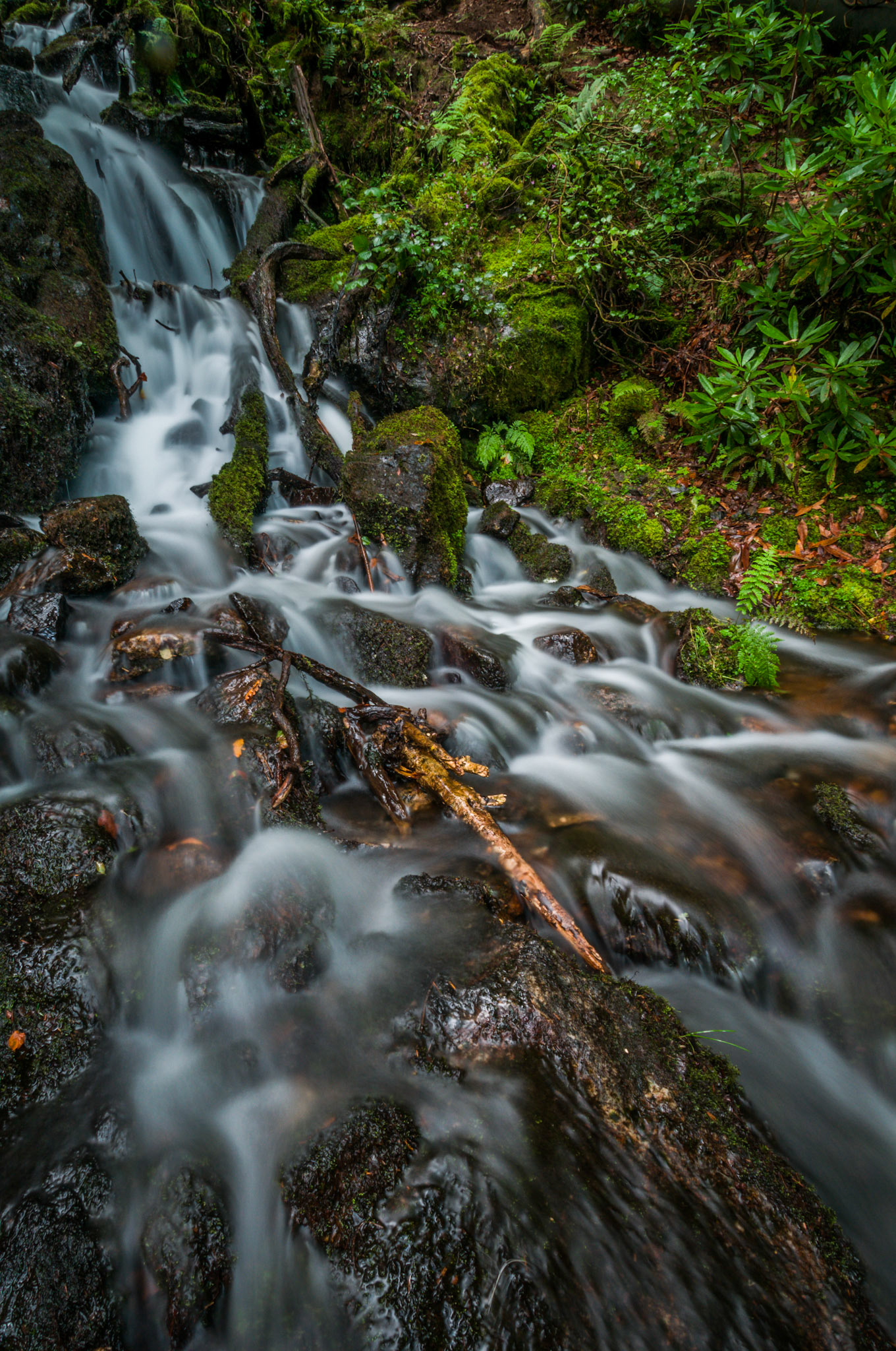 Long exposure of a waterfall in Dartmoor
