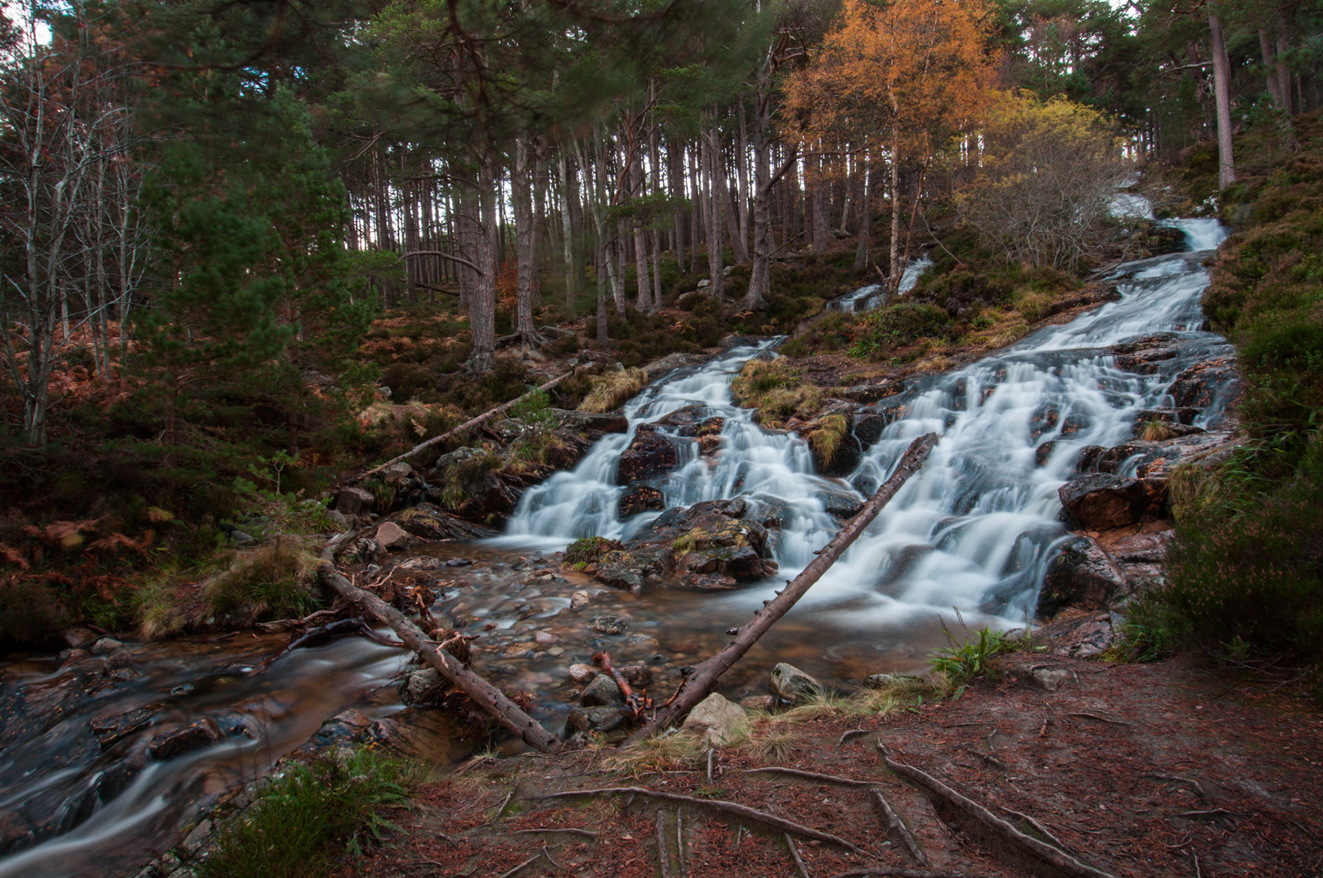 Waterfall hidden away in Glen Feshie in the Cairngorms