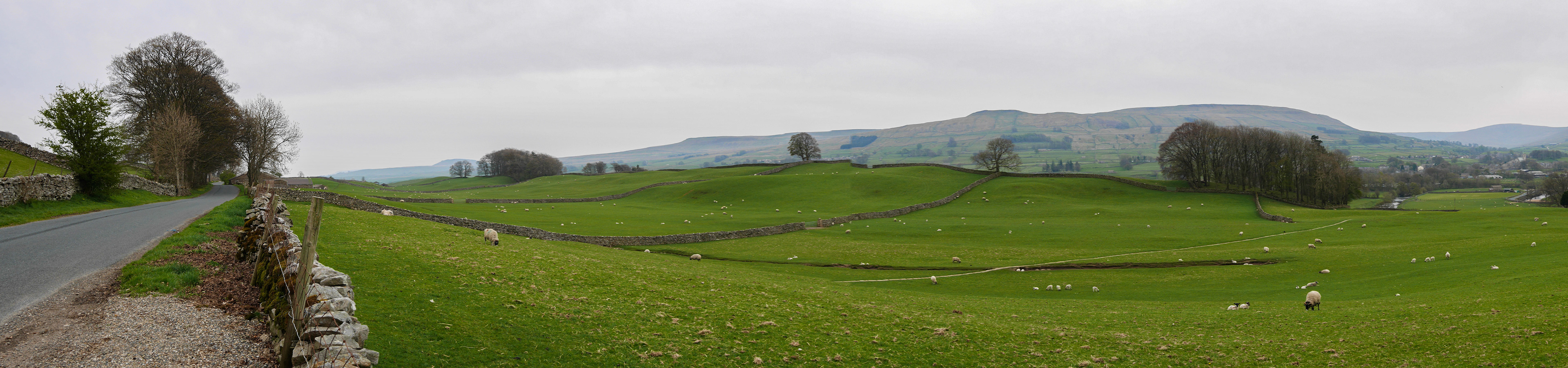 Fields around our hotel