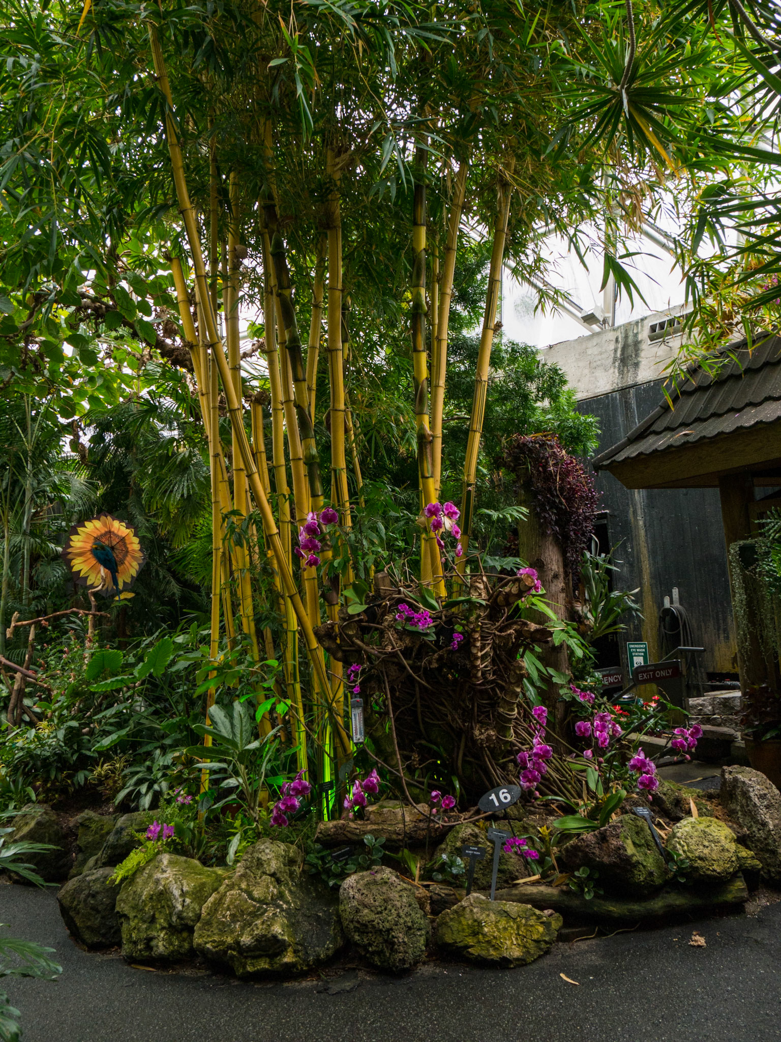 Bloedel Conservatory