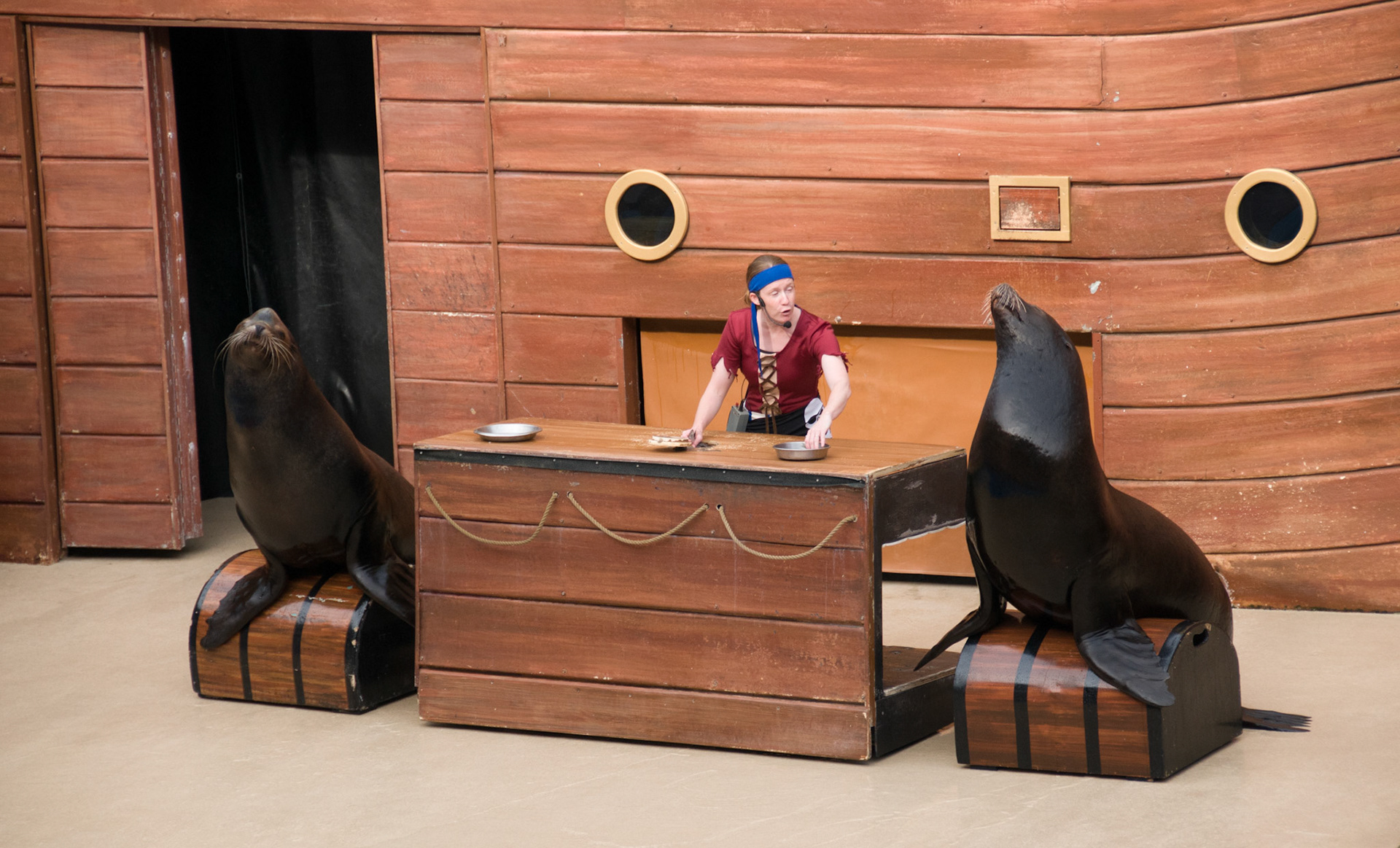 The Clyde and Seamore Show at Seaworld Orlando