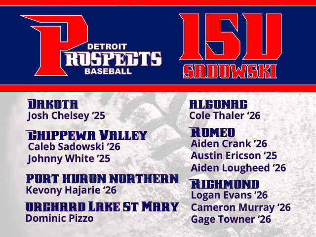 Line up card-Illustrator