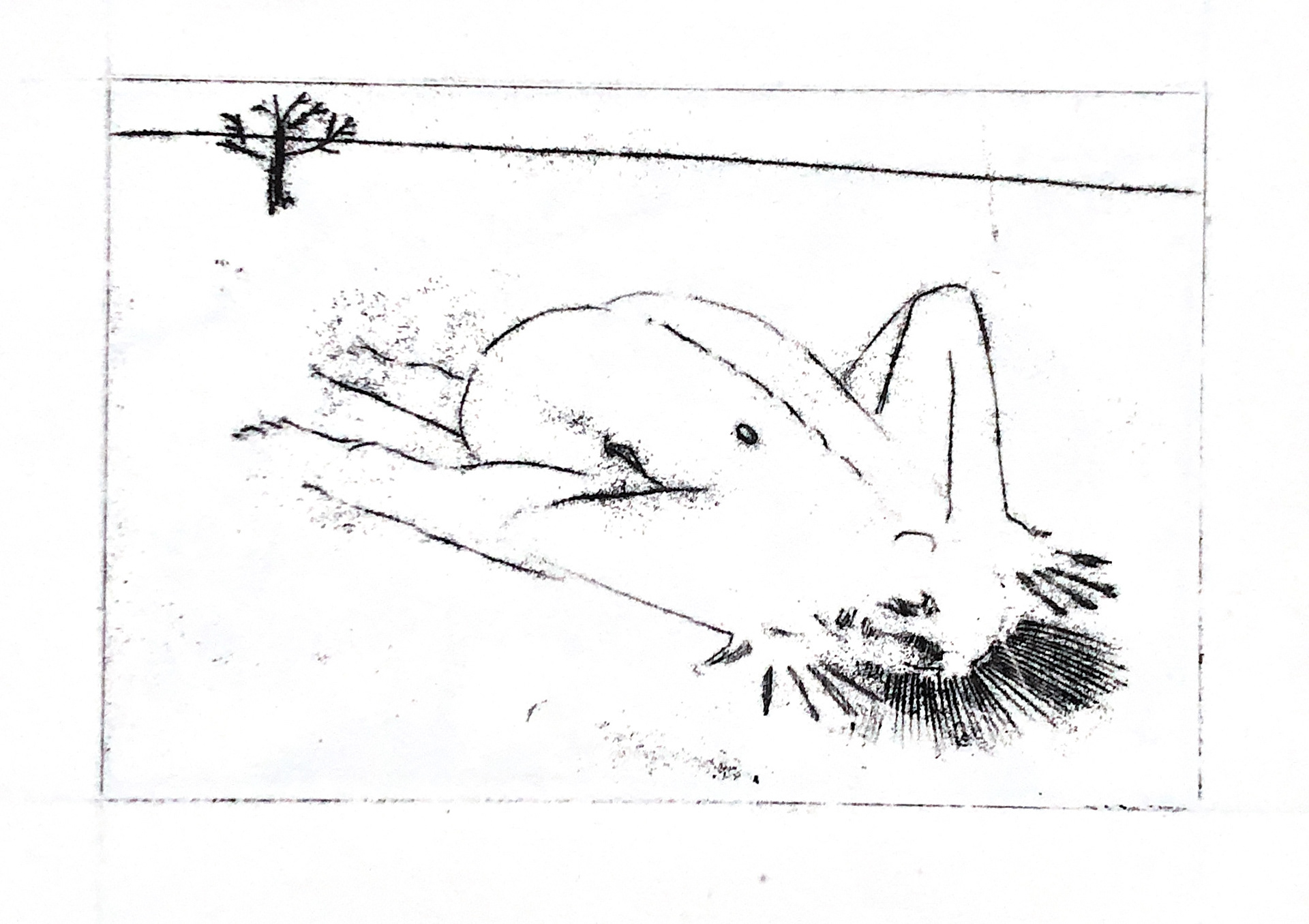 2022, diatype print on paper, 208x296 mm