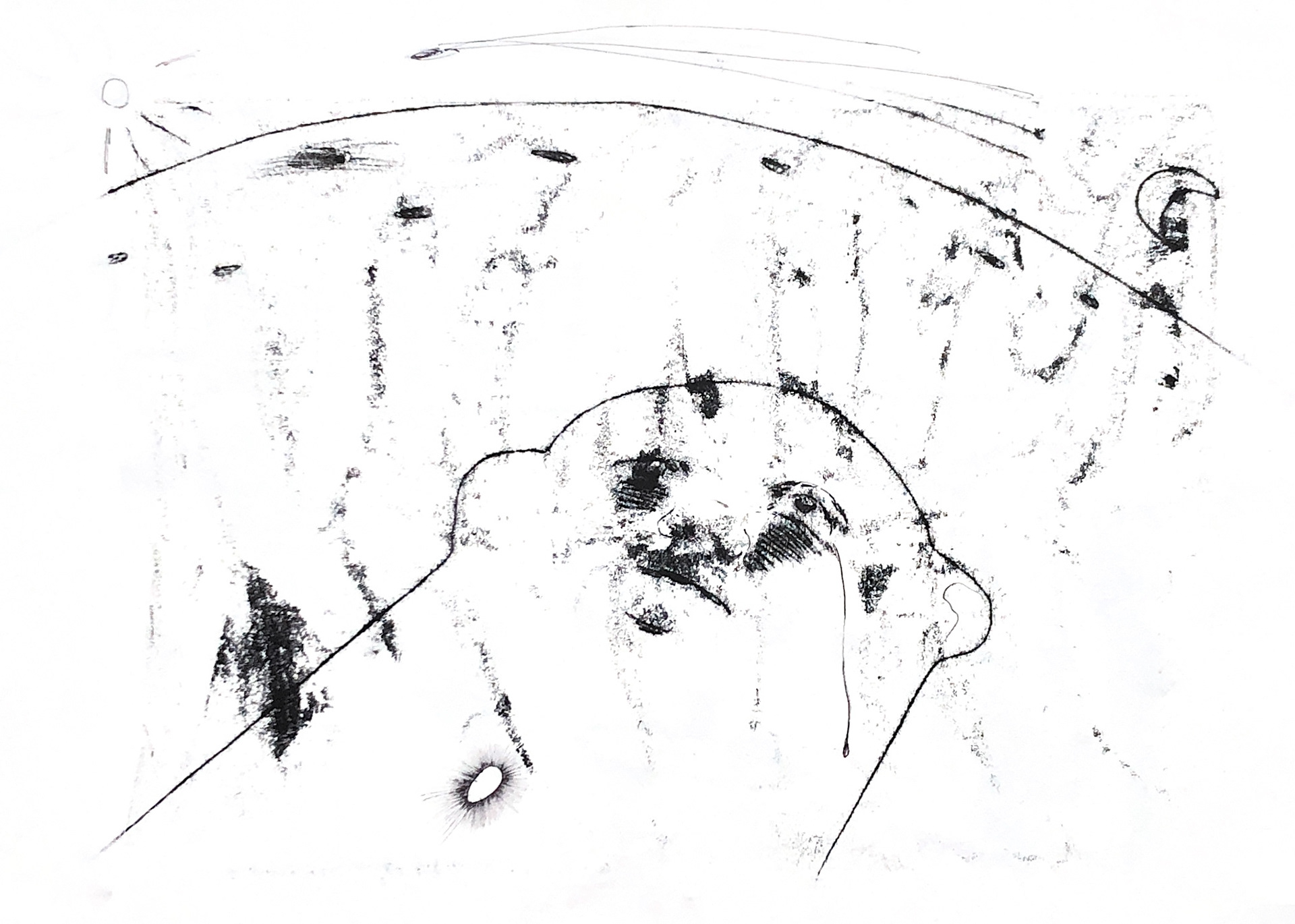 2022, diatype print on paper, 296x418 mm