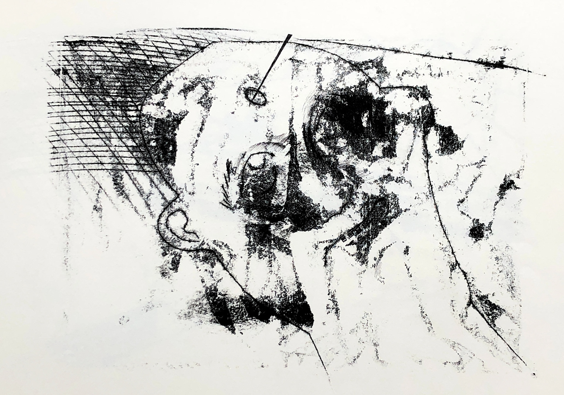 2022, diatype print on paper, 296x418 mm