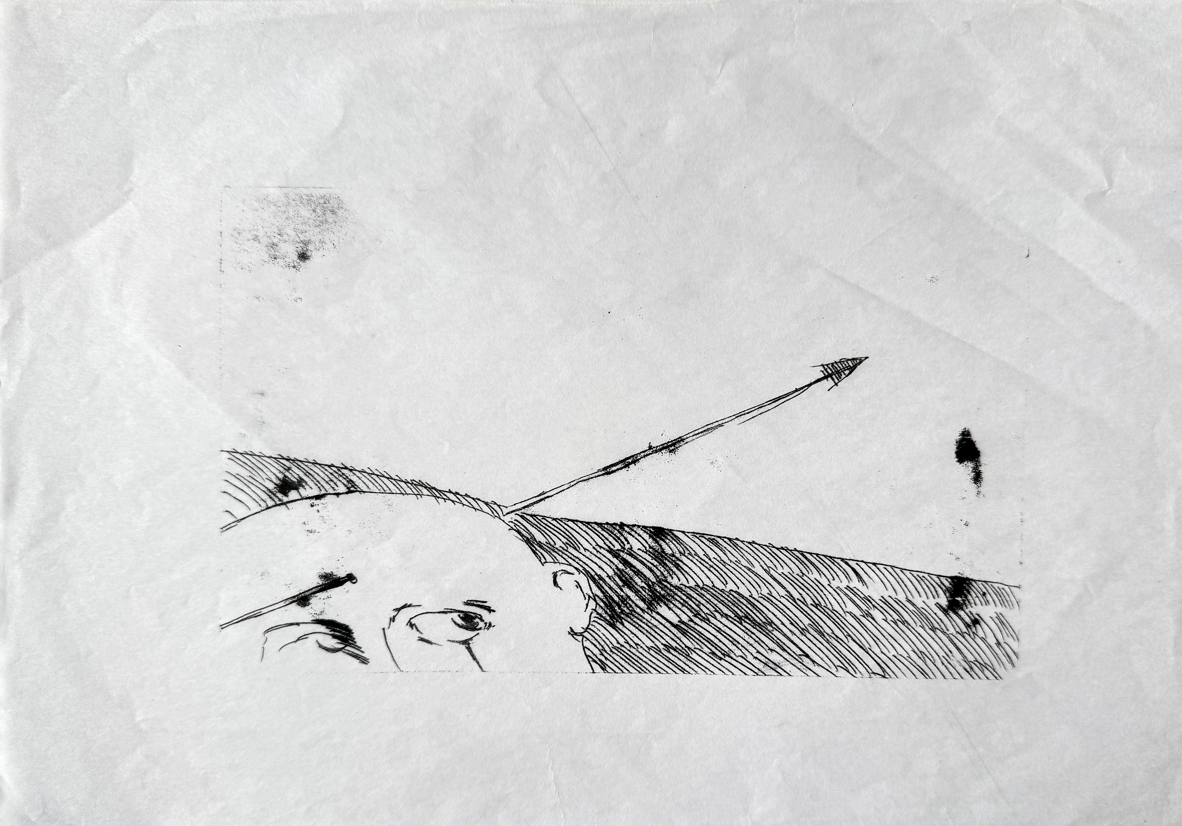 2023, diatype print on tracing paper, 209x299 mm