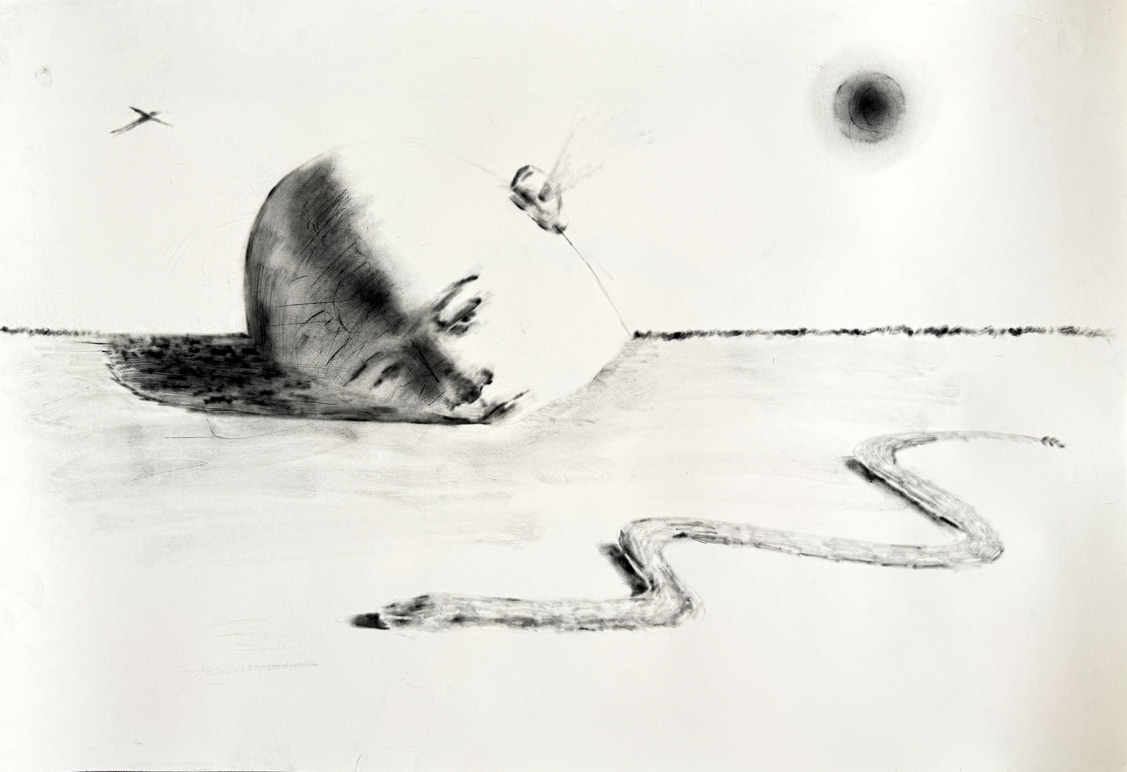 2023, charcoal drawing on paper, 70x100 cm