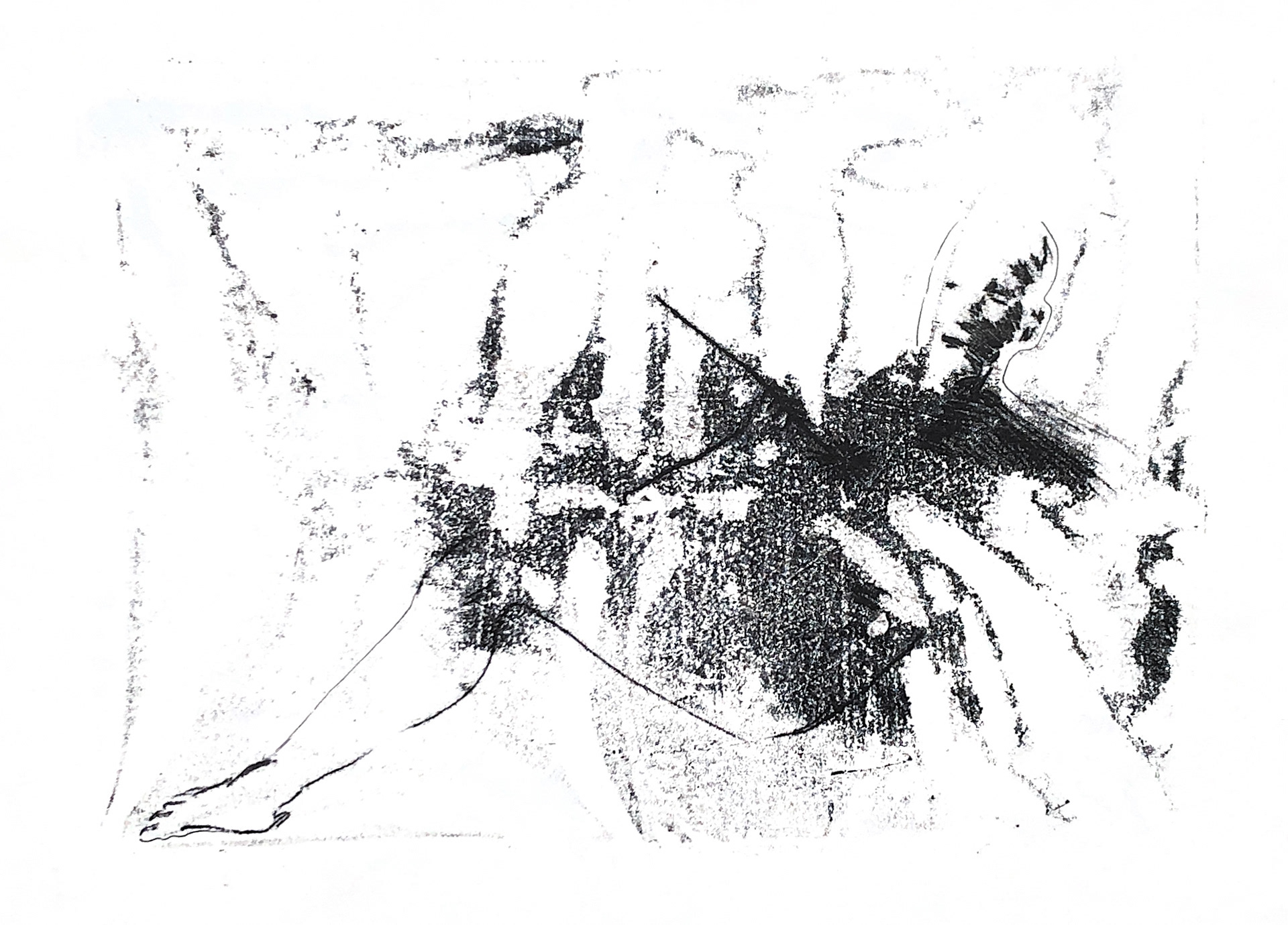 2022, diatype print on paper, 296x418 mm