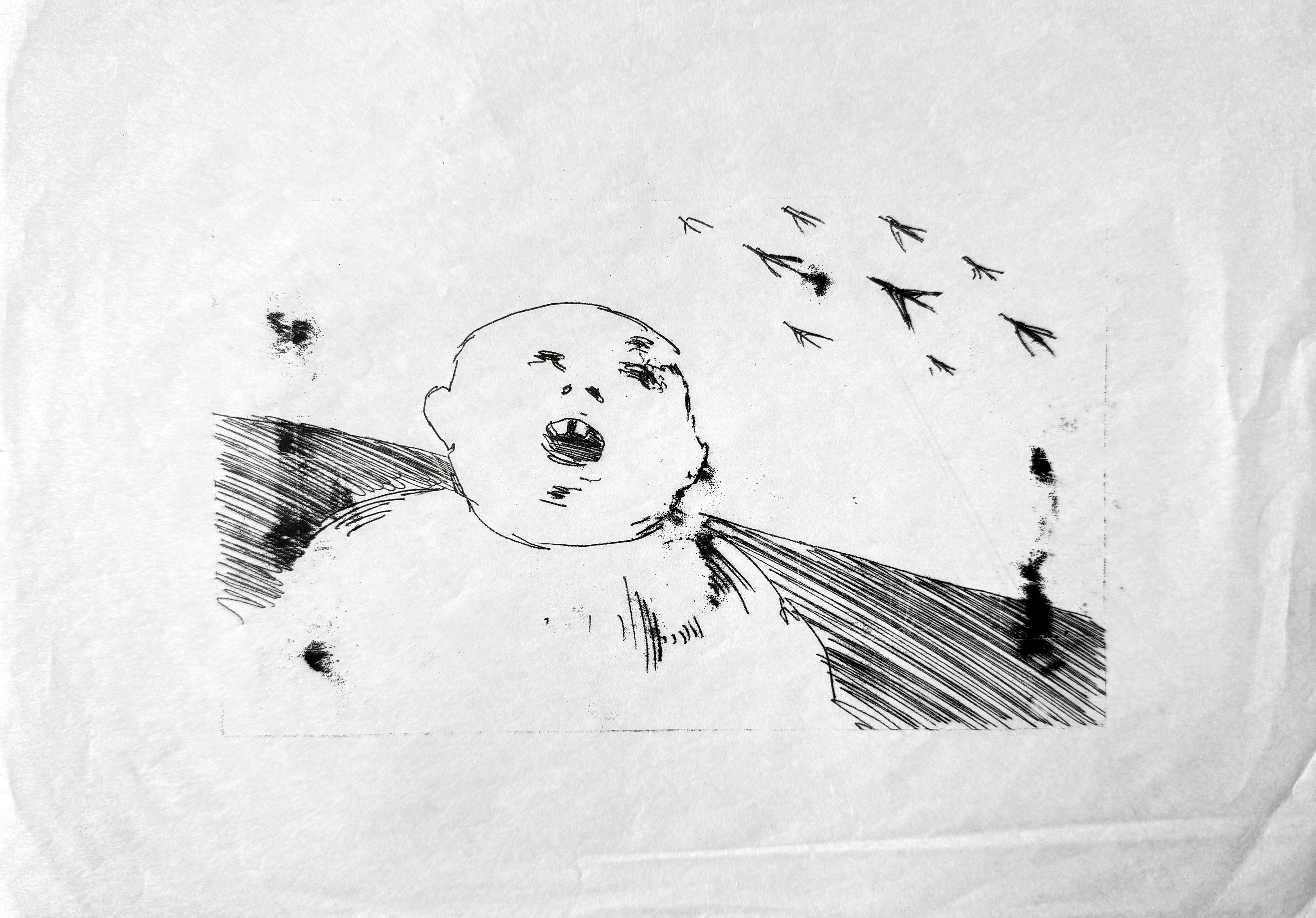 2023, diatype print on tracing paper, 211x301 mm