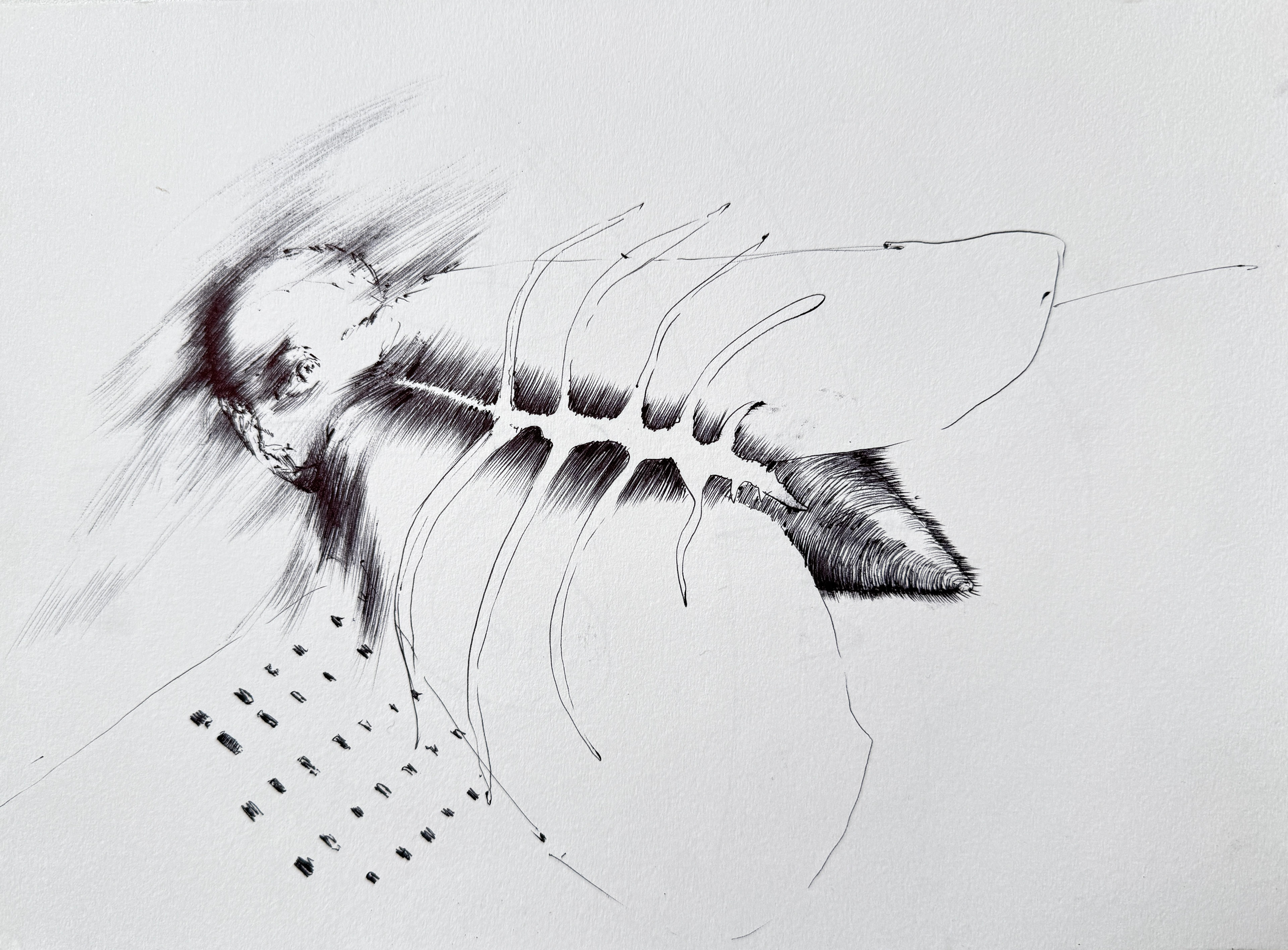 2022, gel pen drawing on paper, 210x287 mm