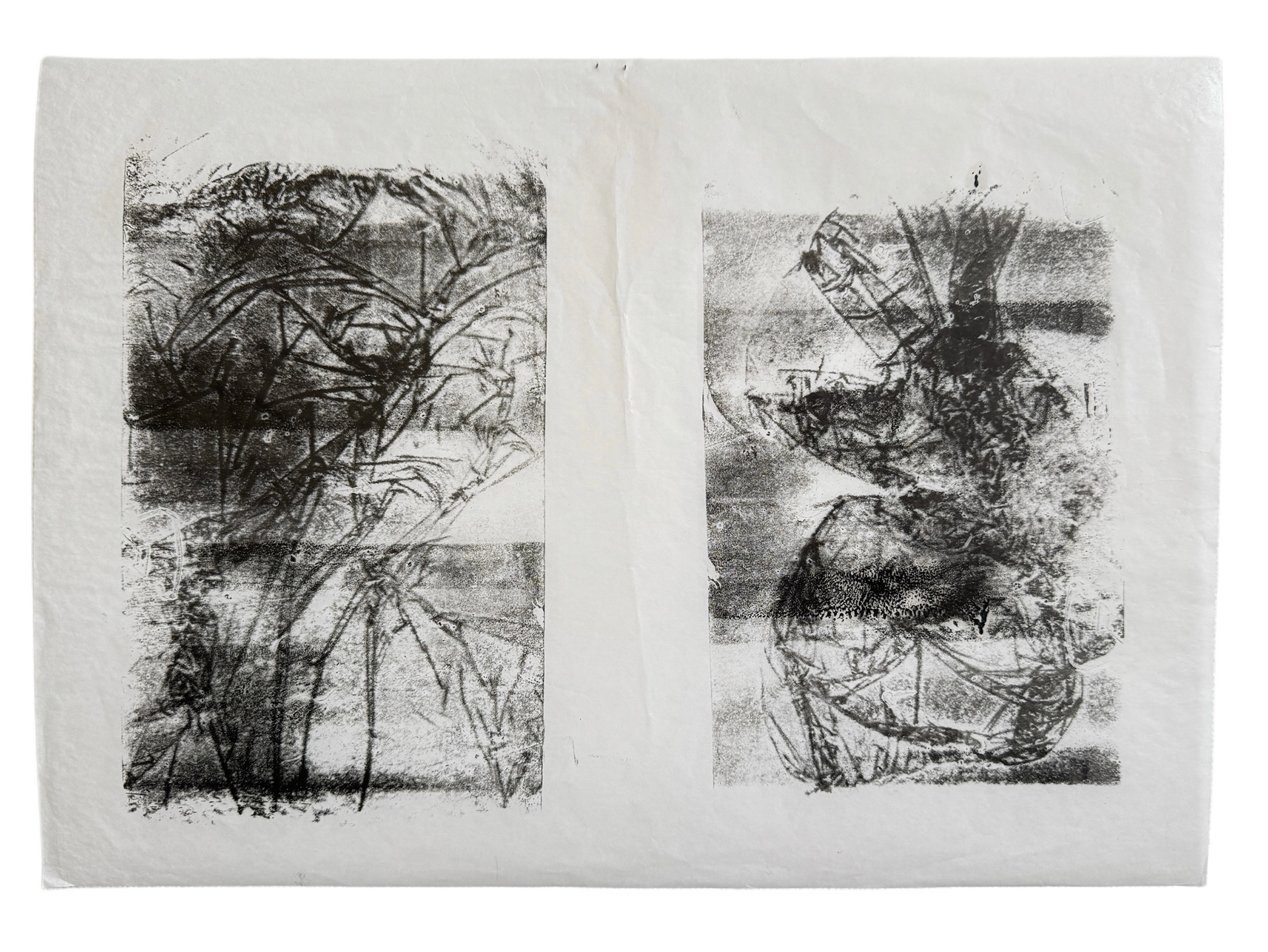 2023, diatype print on tracing paper,