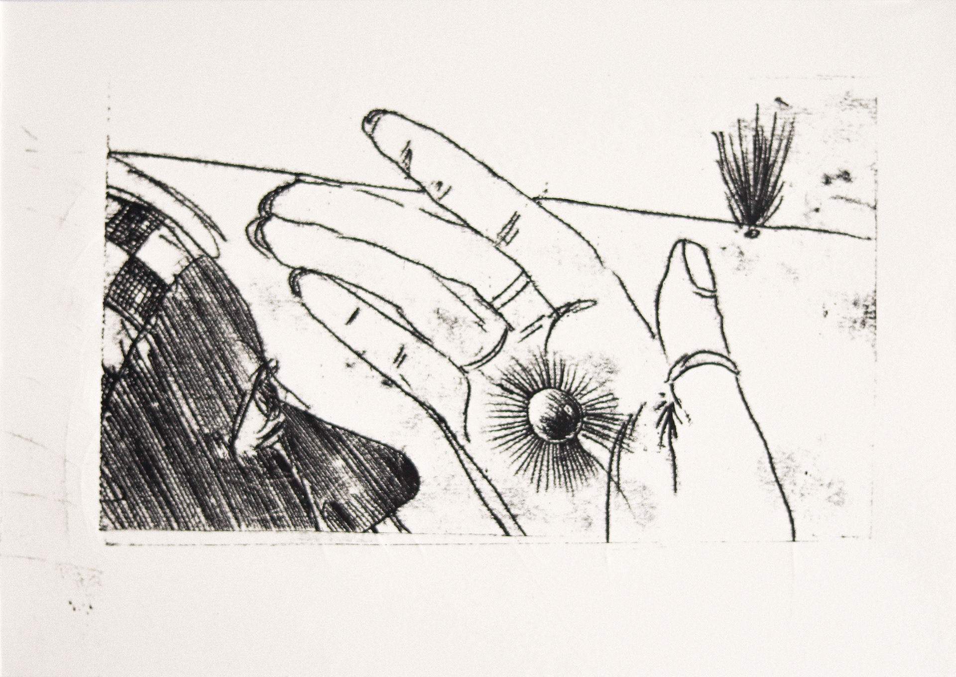 Grain 3, 2023, diatype print on palatina paper, 175x247 mm