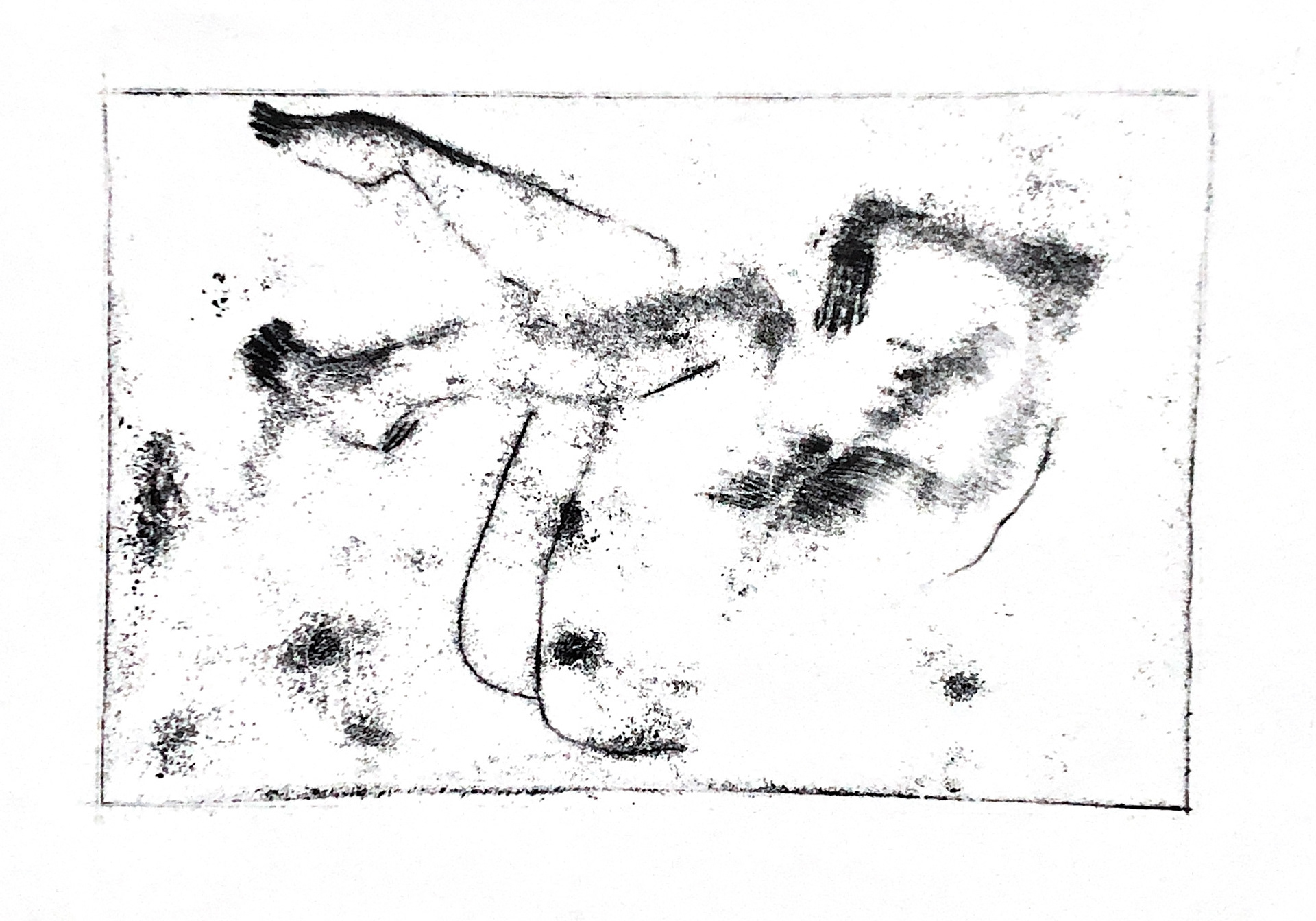 2022, diatype print on paper, 210x295 cm, private collection