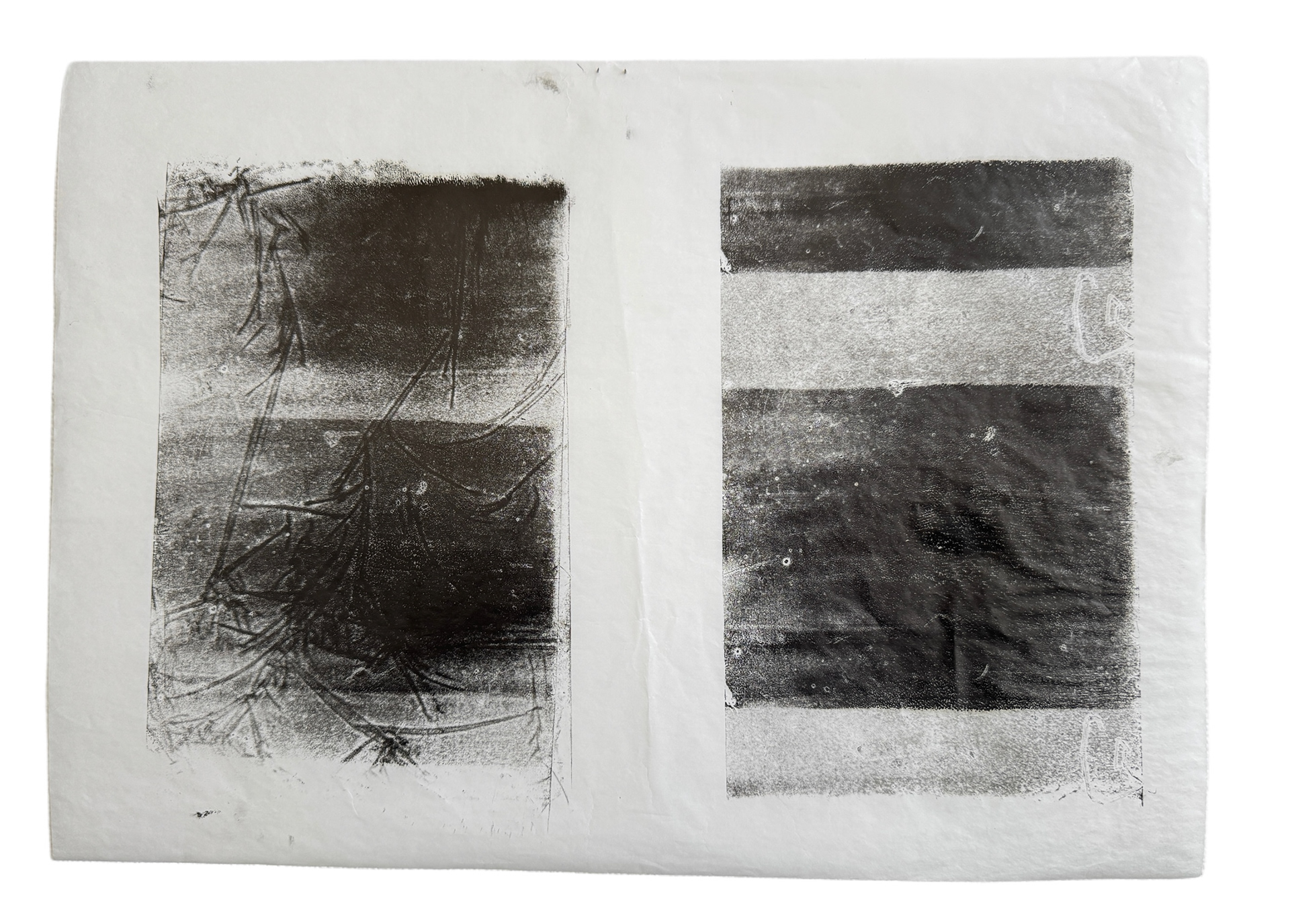 2023, diatype print on tracing paper, 297x416 mm