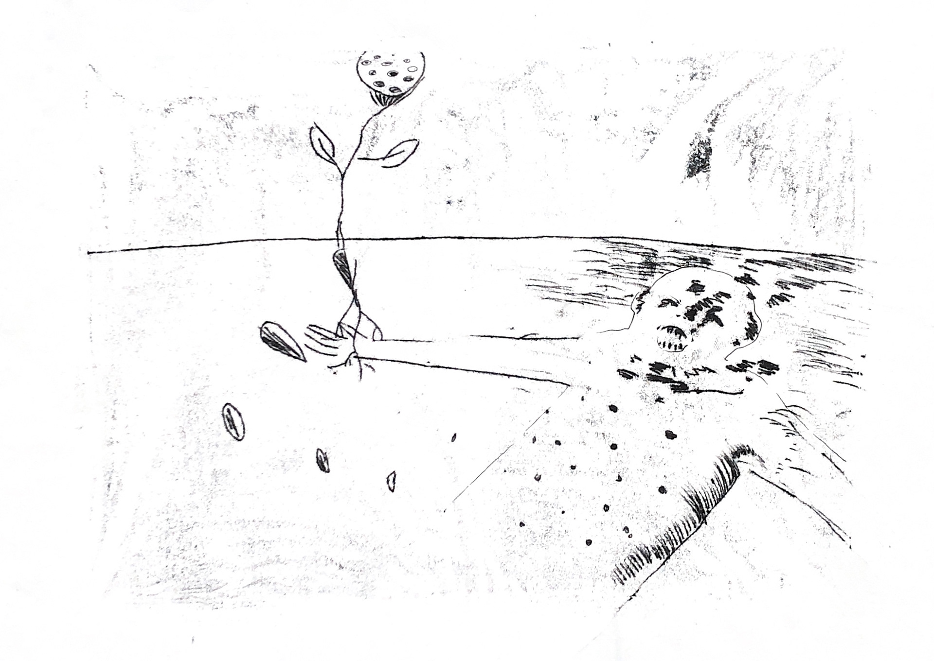 2022, diatype print on paper, 296x418 mm