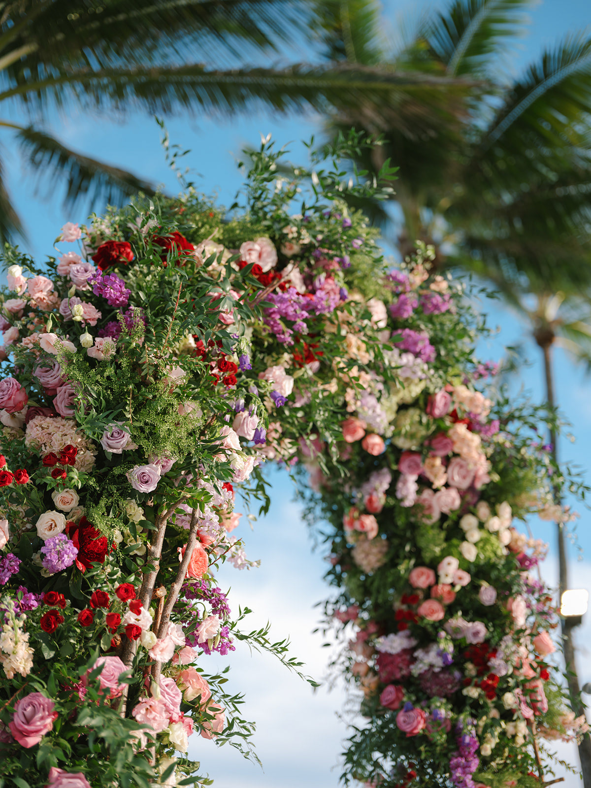 Photo by Afrik Armanodo