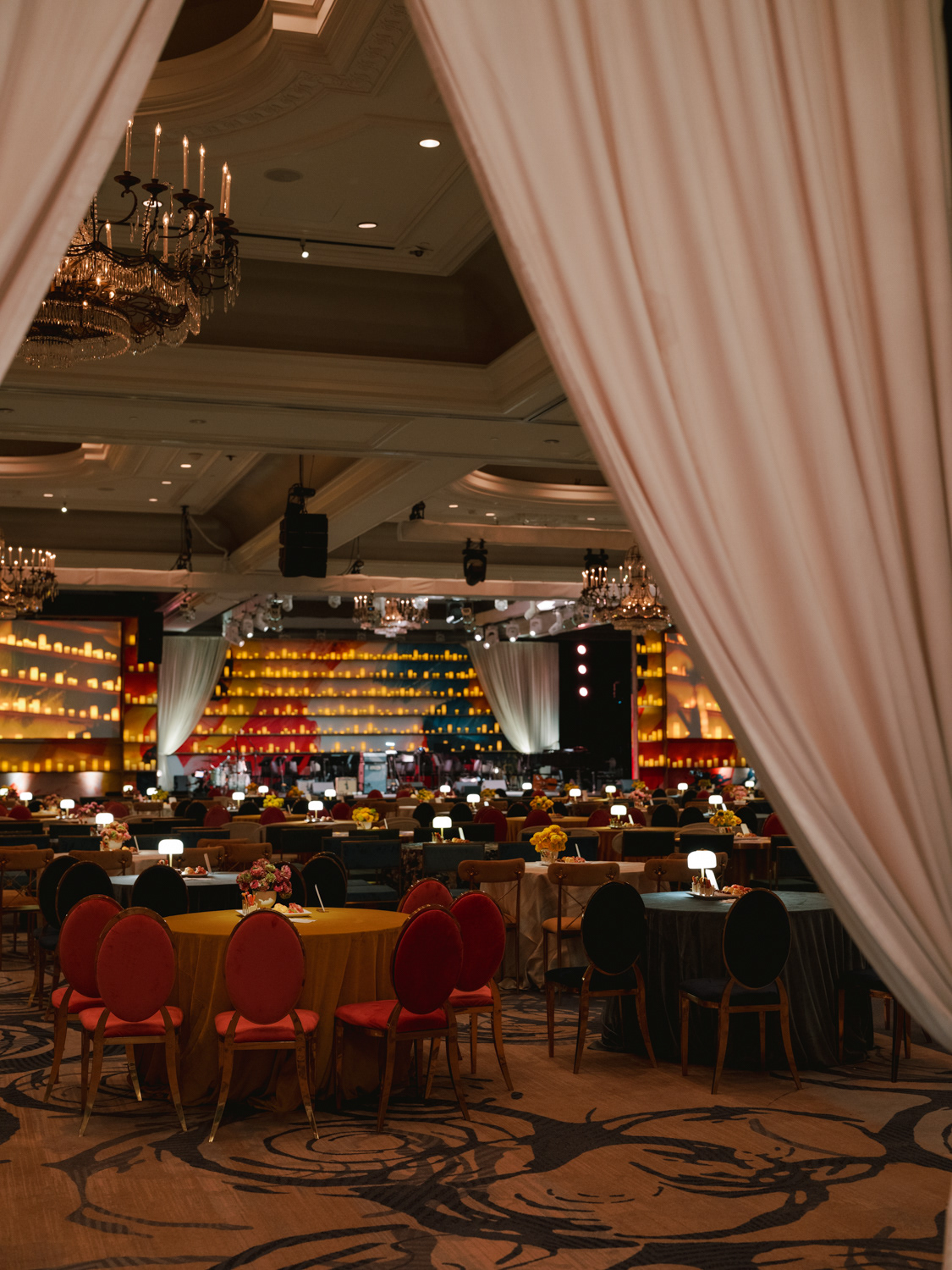 Photo by Afrik Armando