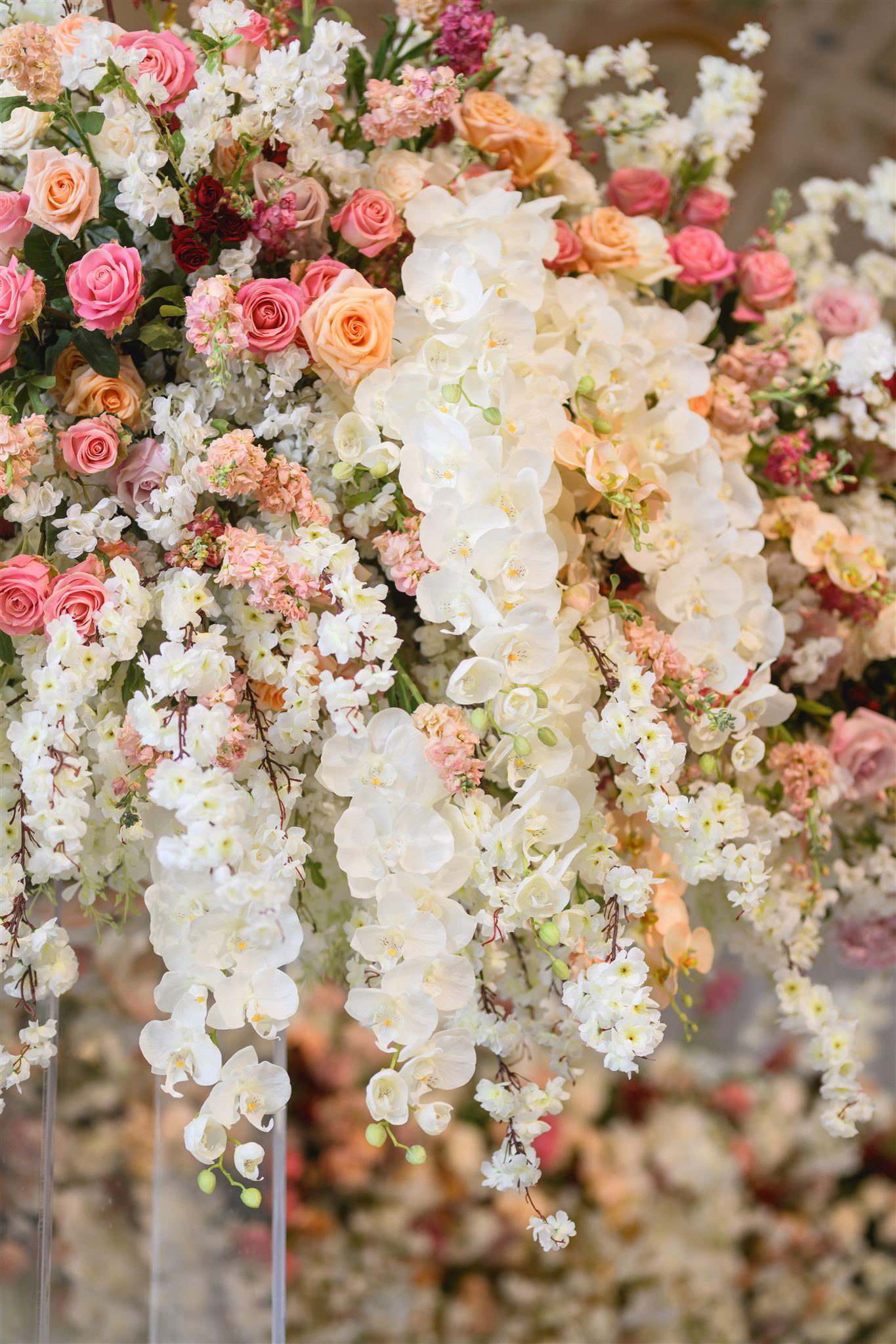 Photo by Joshua Kane Photography