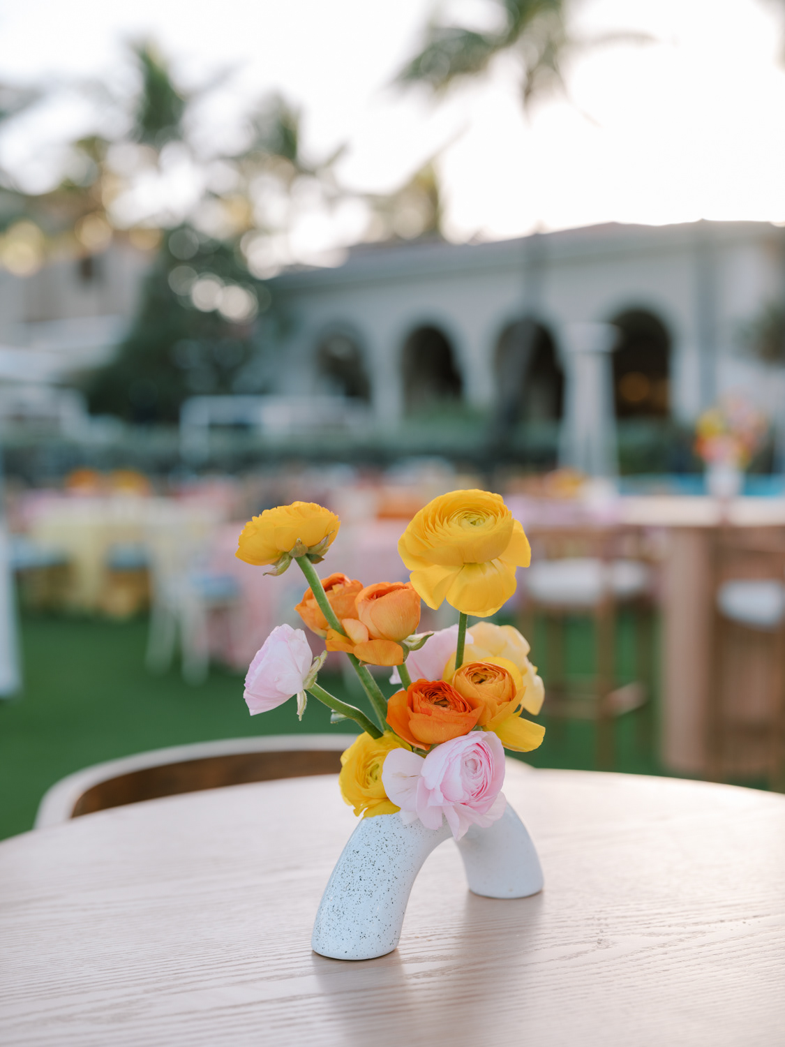 Photo by Afrik Armando