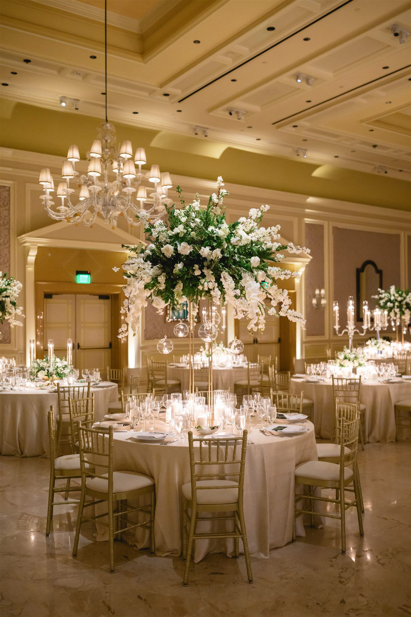 Photo by Joshua Kane Photography