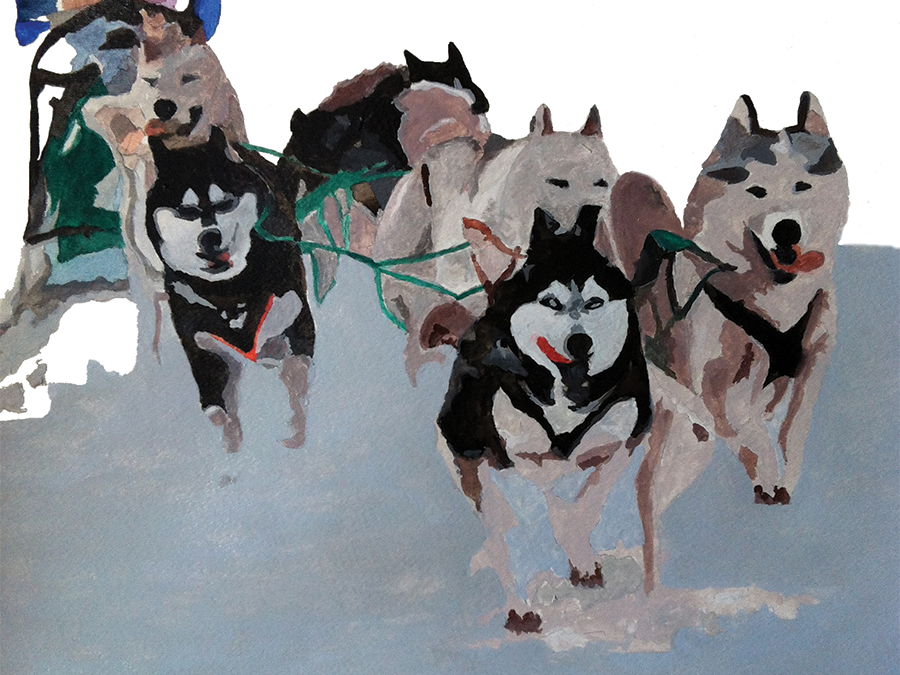 Dog Sledding