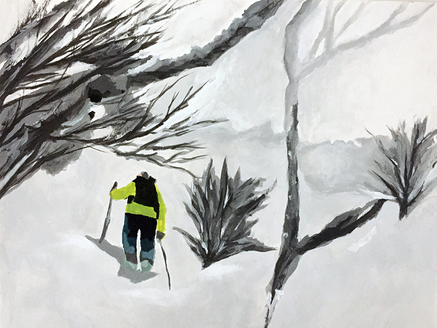 Snowshoe Searching