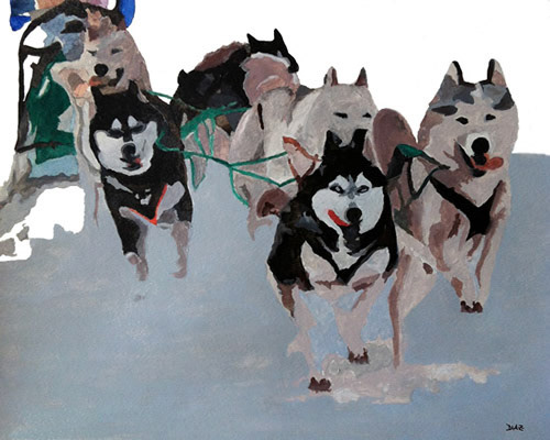 Dog Sledding