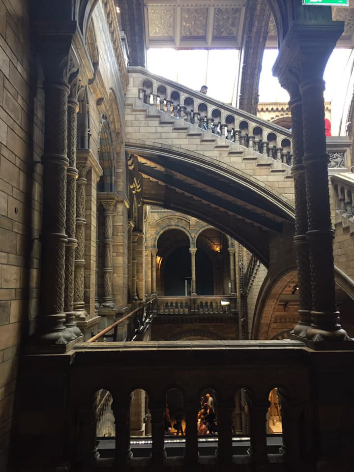 natural history museum, london