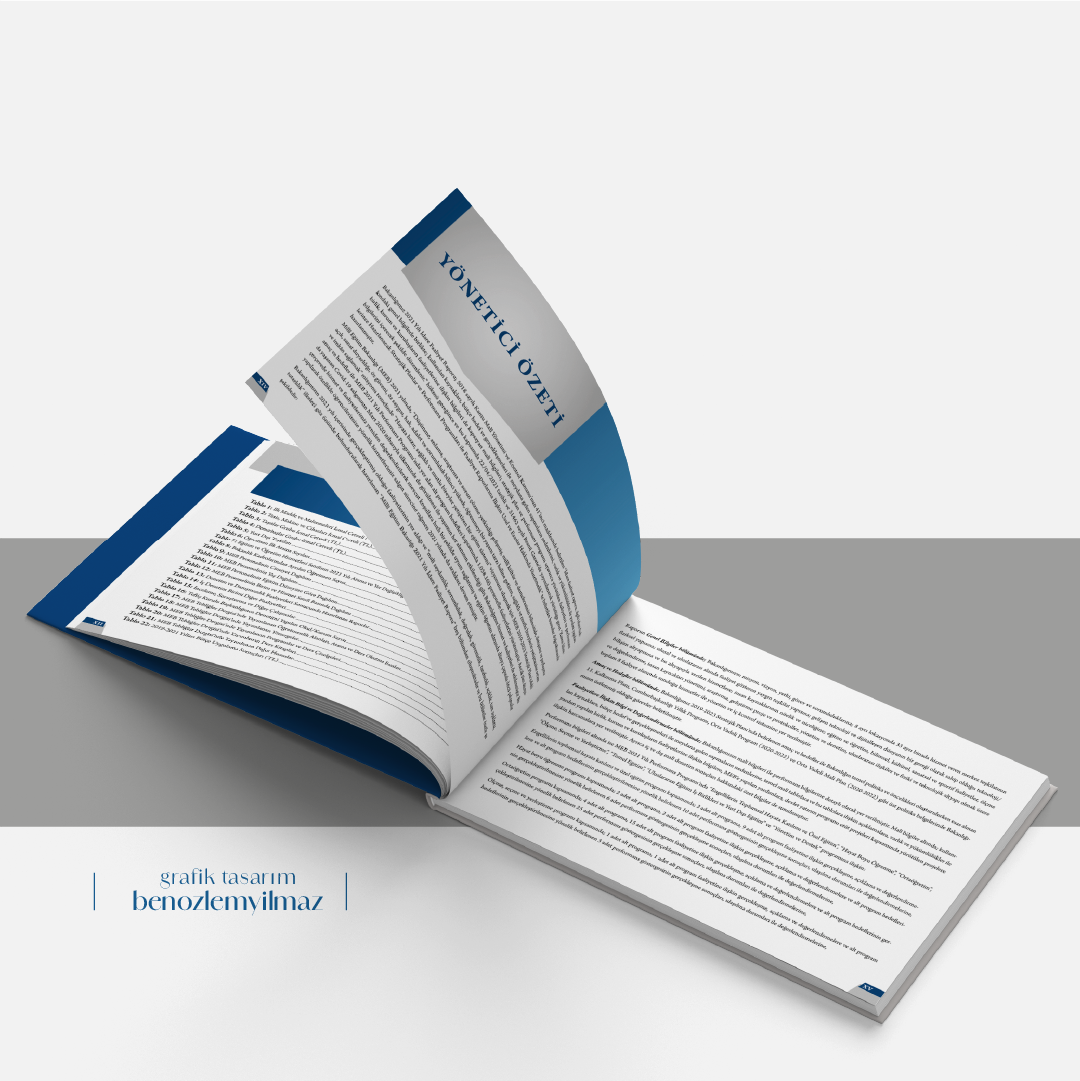 Yönetici Özeti